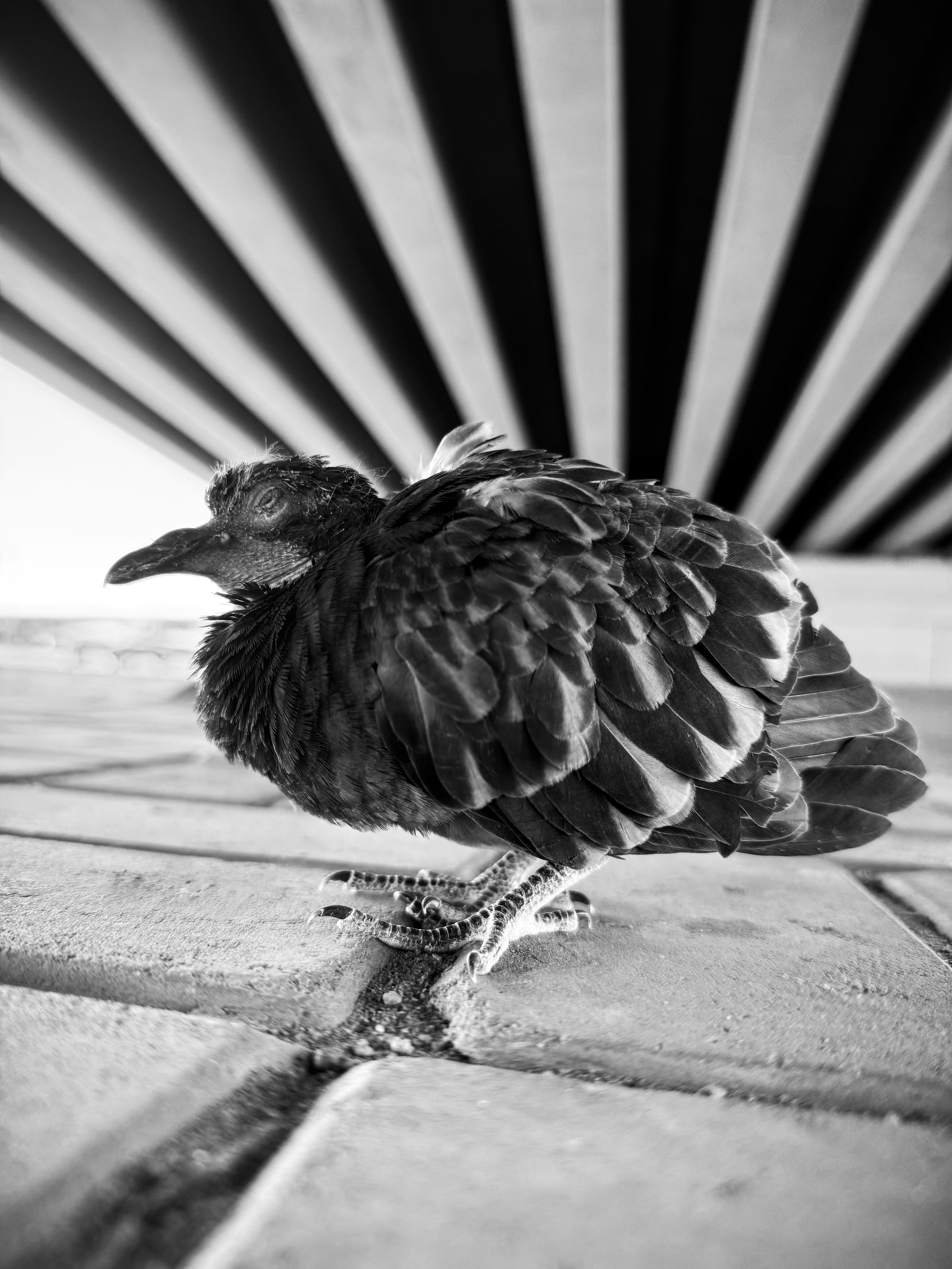 Ayman Rakib (@mr_ayman) | Komunitas Foto Unsplash