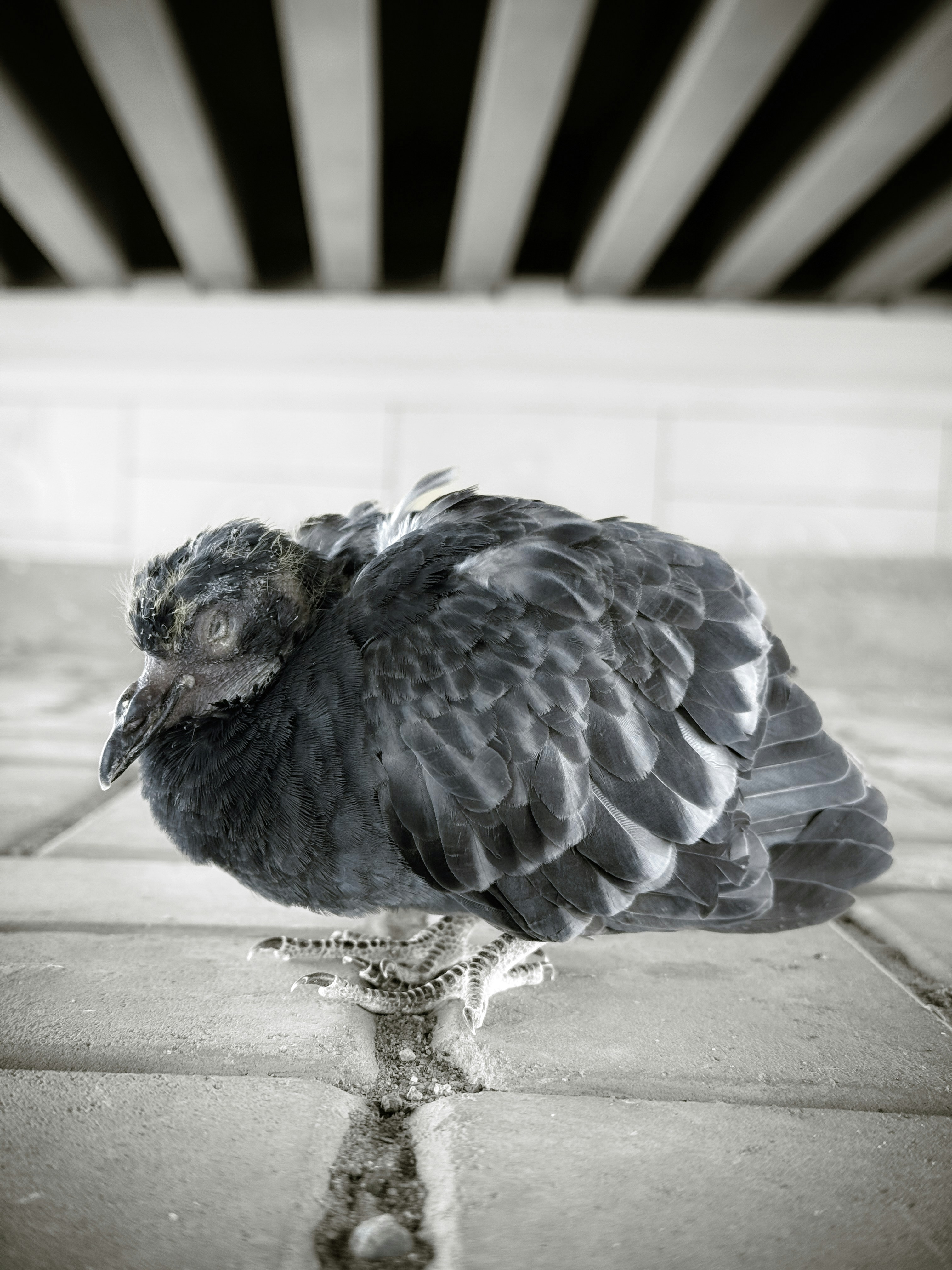 Ayman Rakib (@mr_ayman) | Komunitas Foto Unsplash