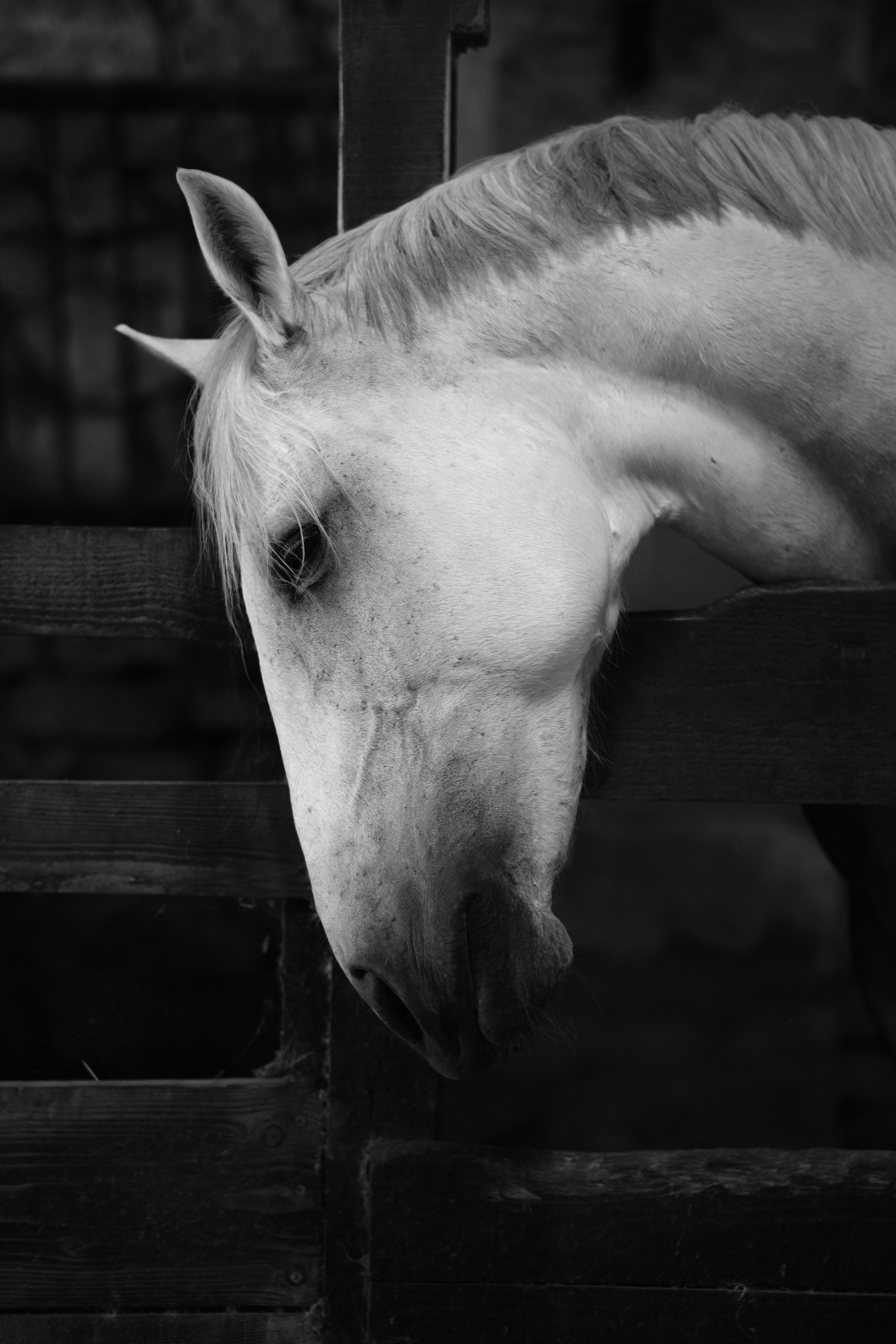 Photo by aldyrkhanov