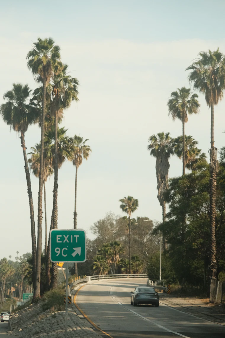 A Southern California freeway exit ramp lined with tall palm trees, seen from the road