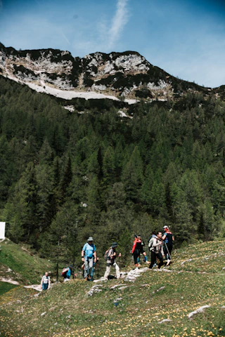 Hikers climb a mountain path surrounded by trees.