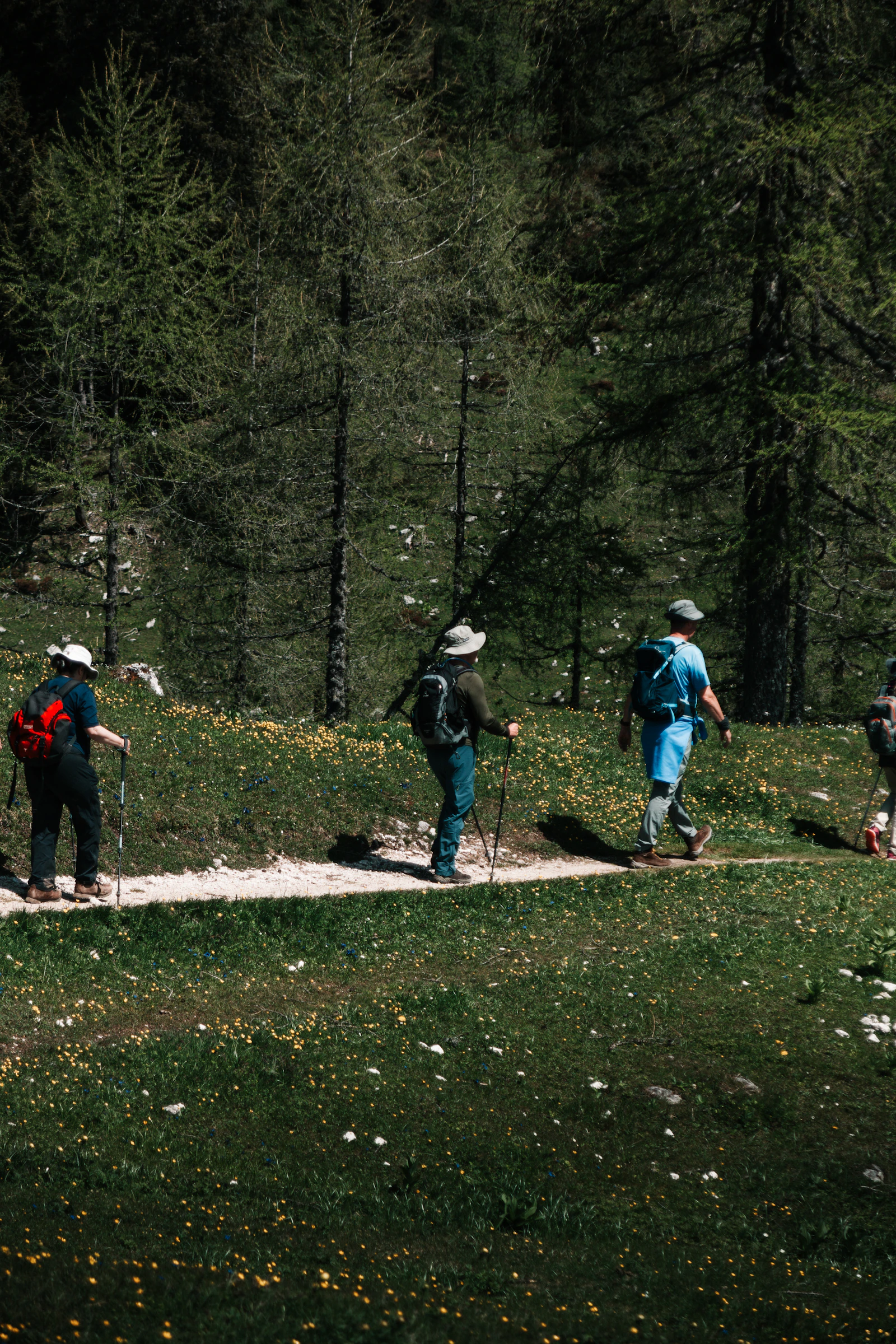 Hikers moving at a steady pace across an open trail