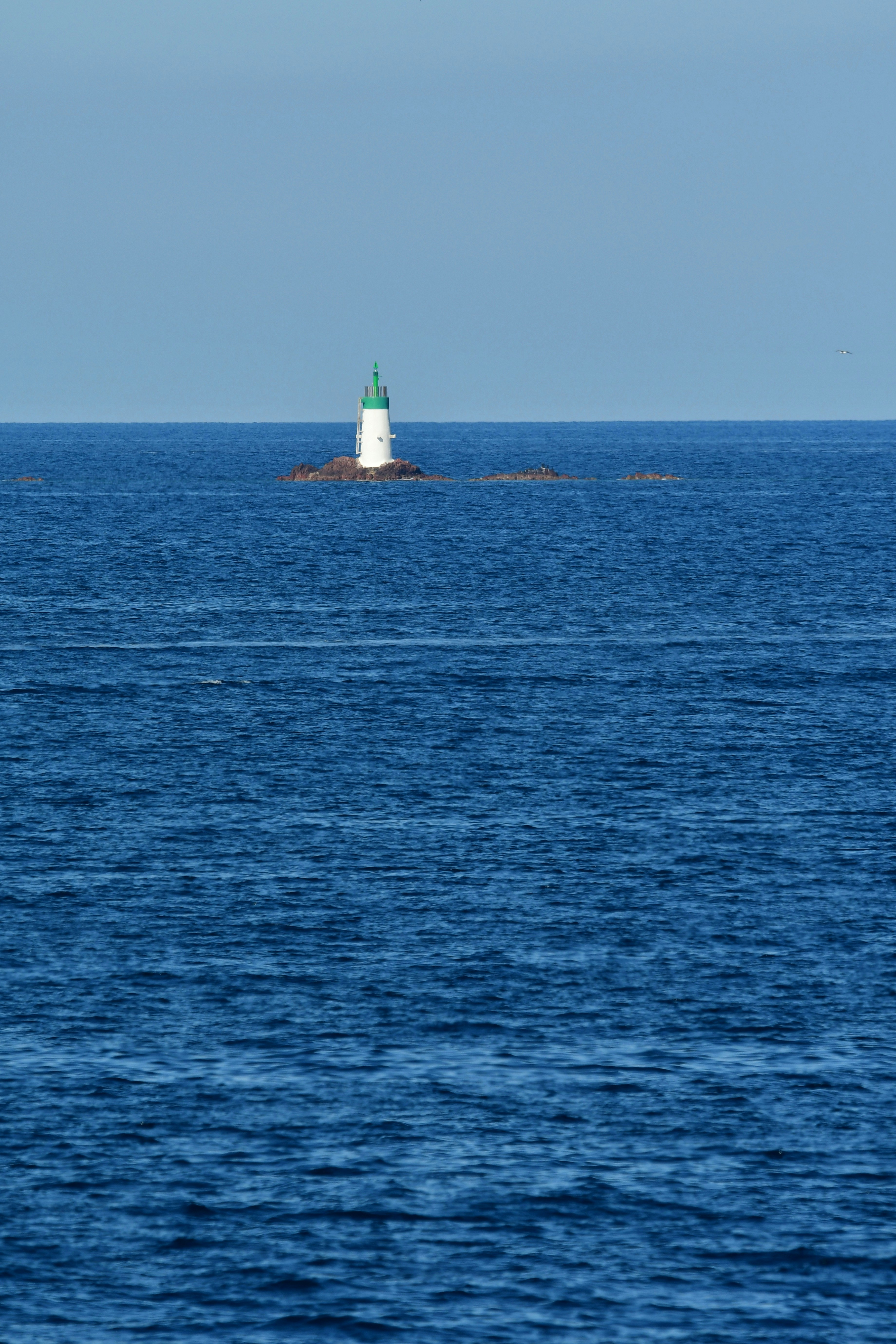 Photo by pedrino5_official