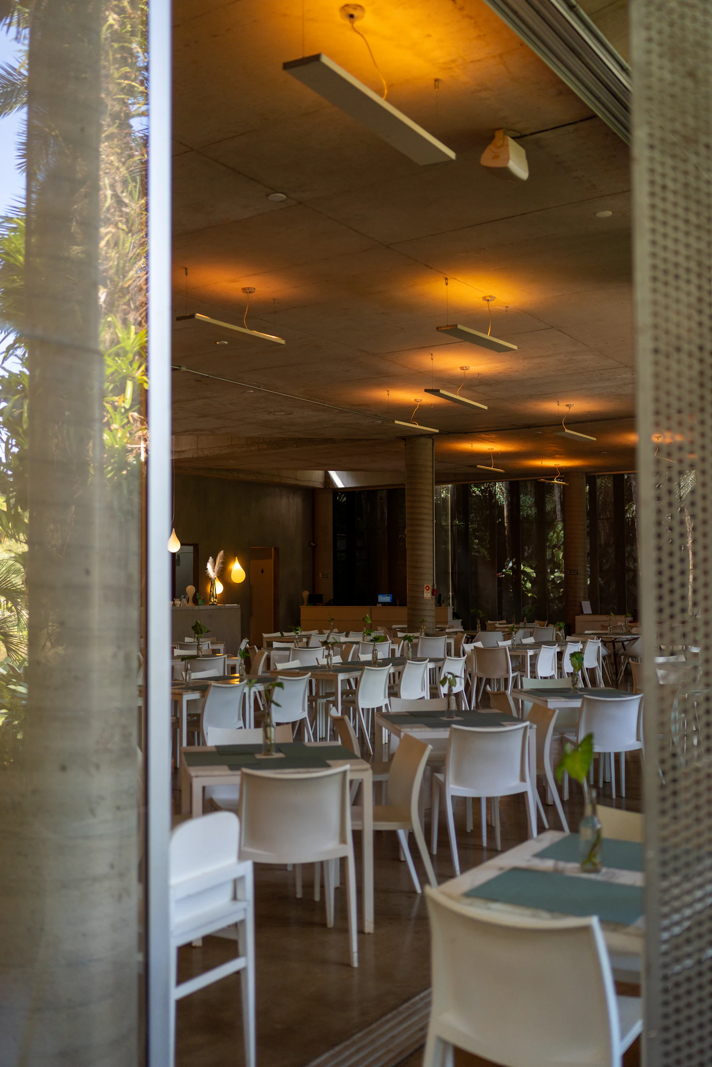 Warm contemporary restaurant interior