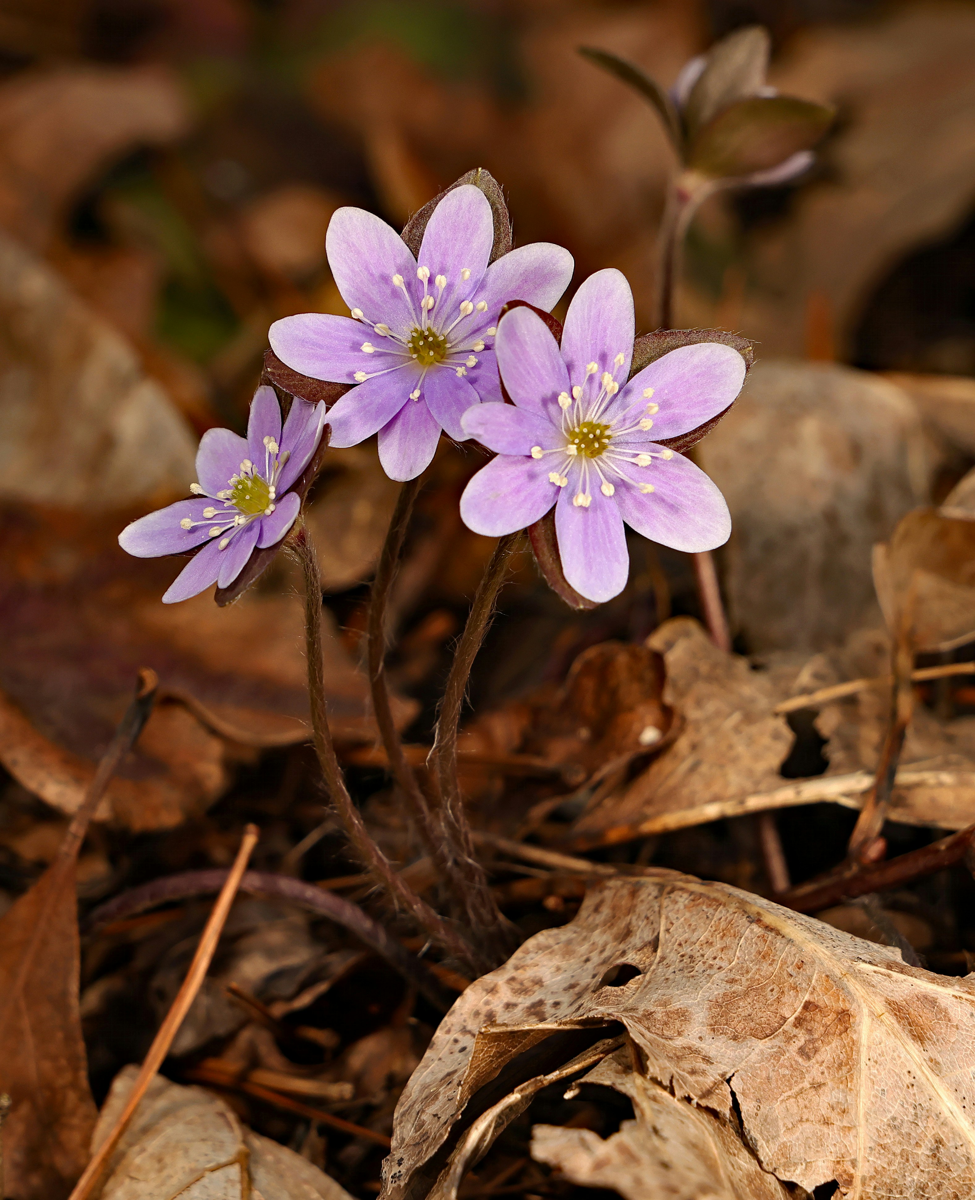 Photo by telliottmbamsc