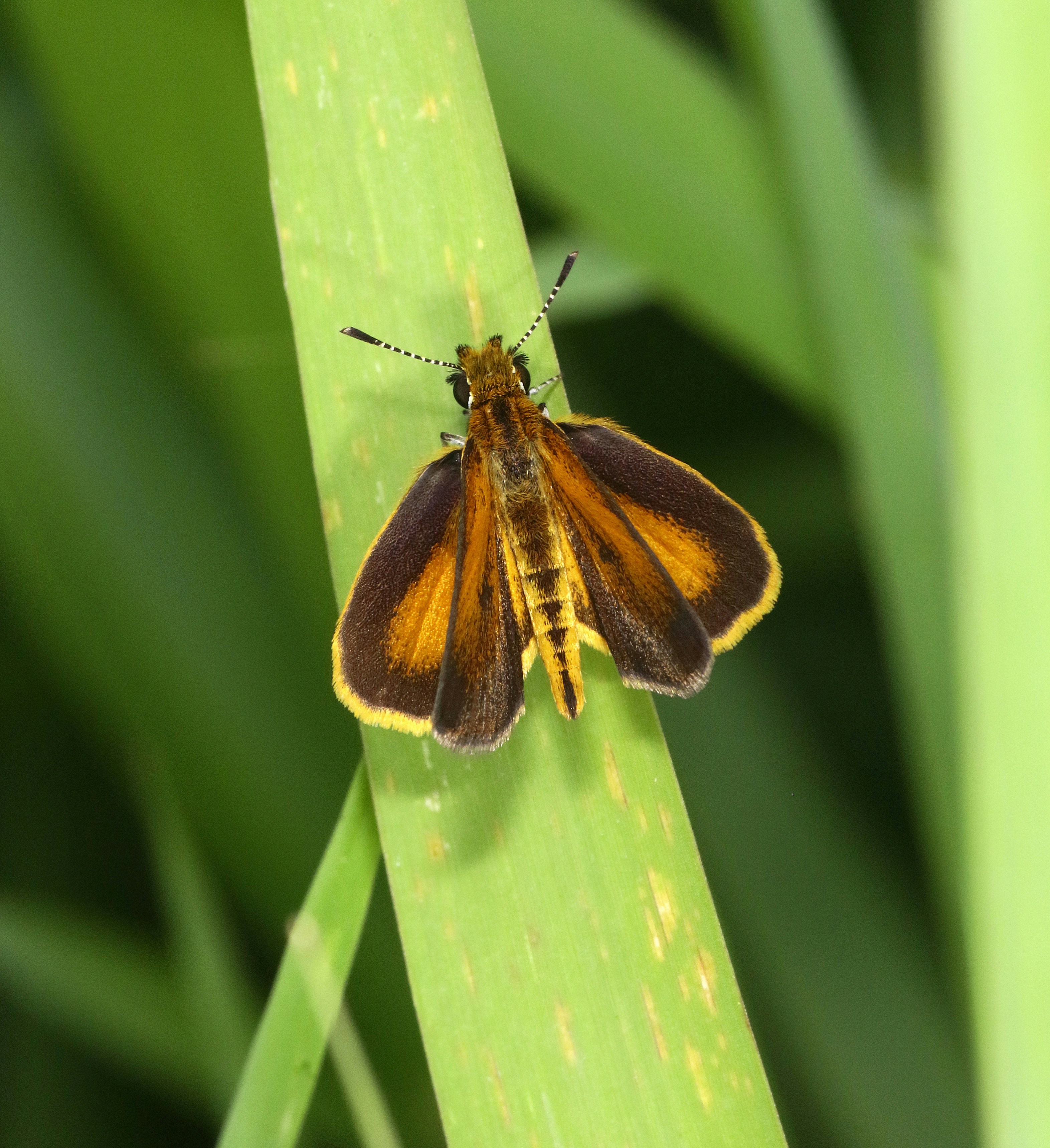 Photo by telliottmbamsc