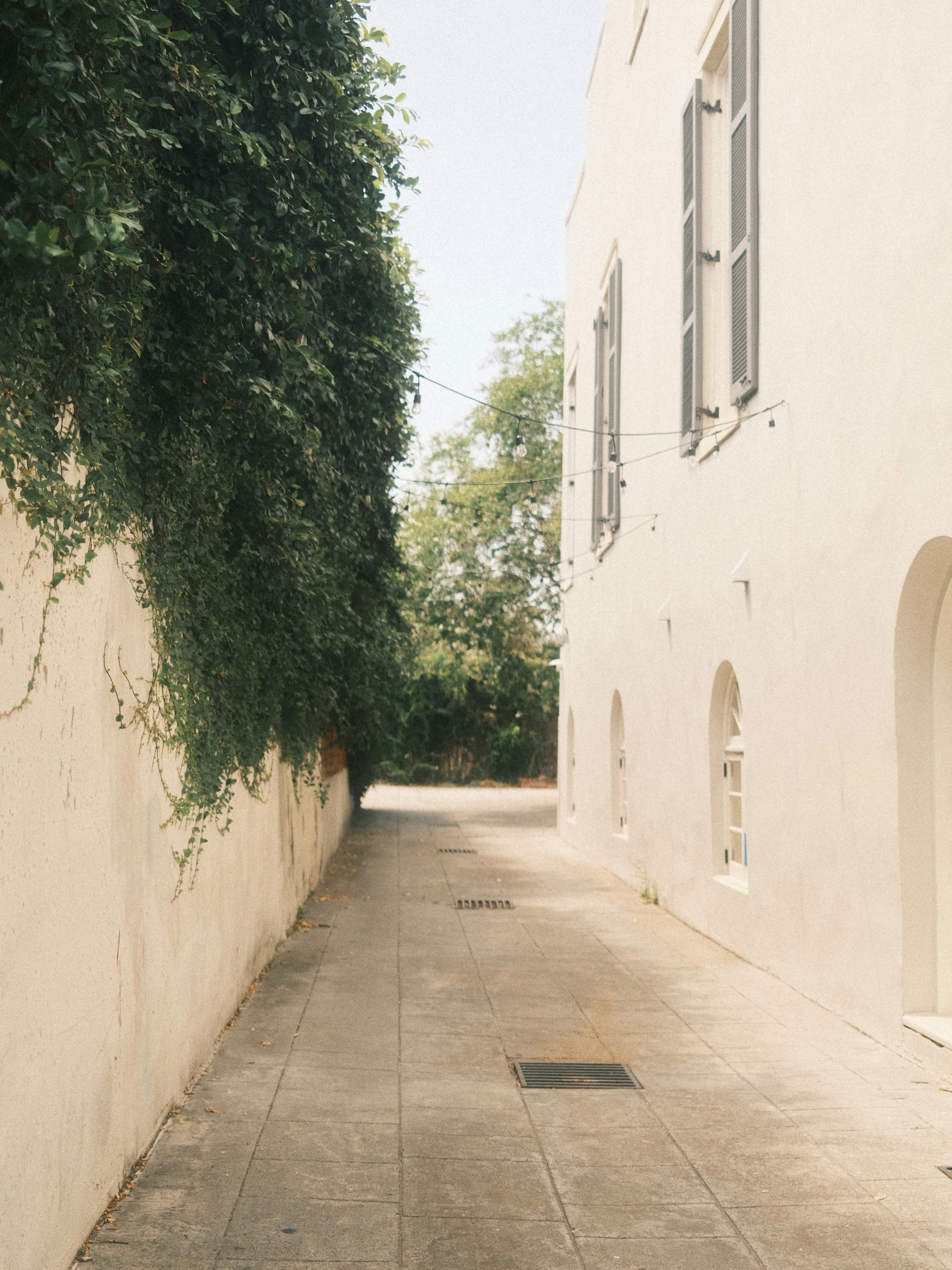 Photo by arsmoriendi