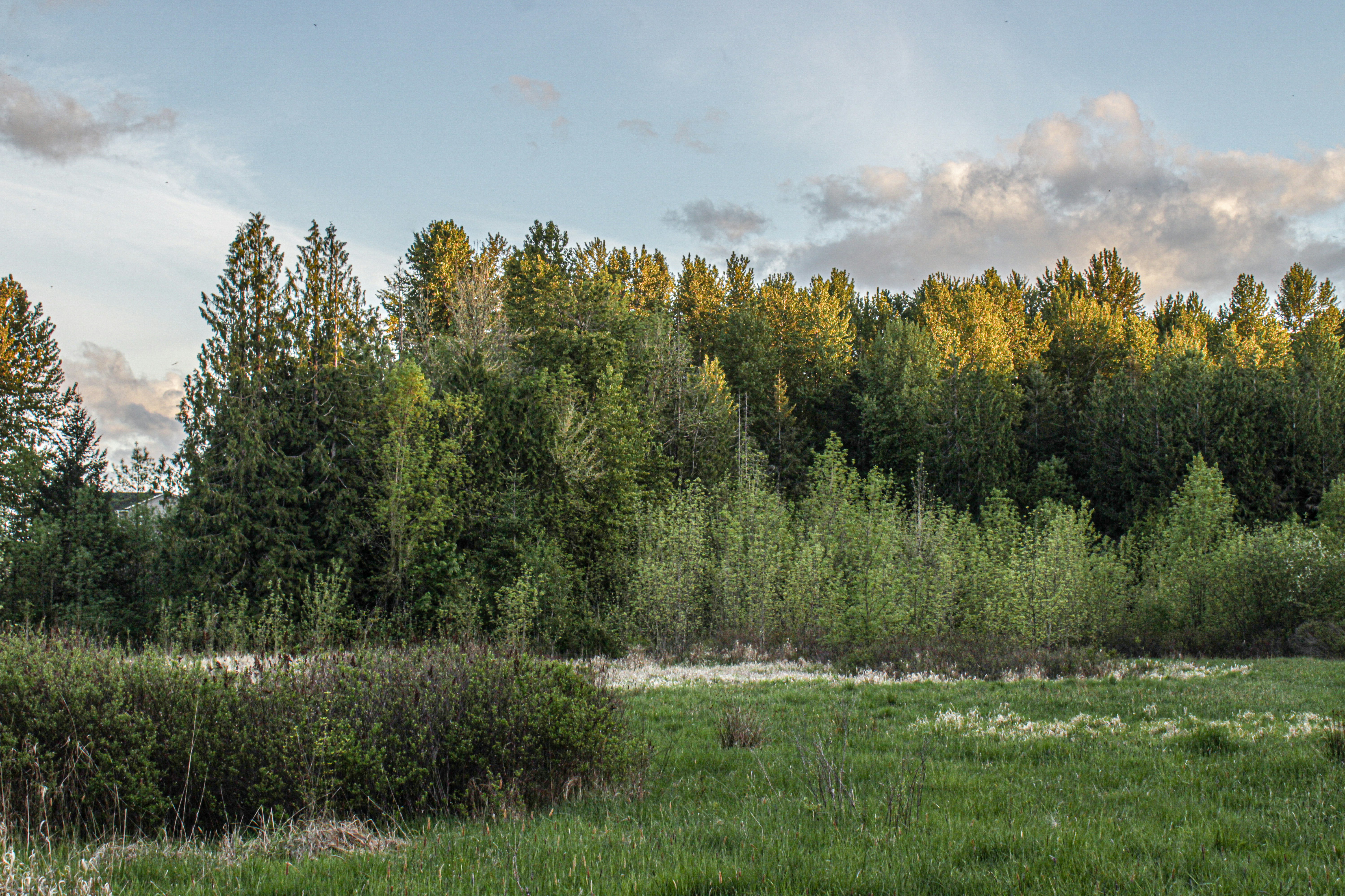 Photo by prphotography262