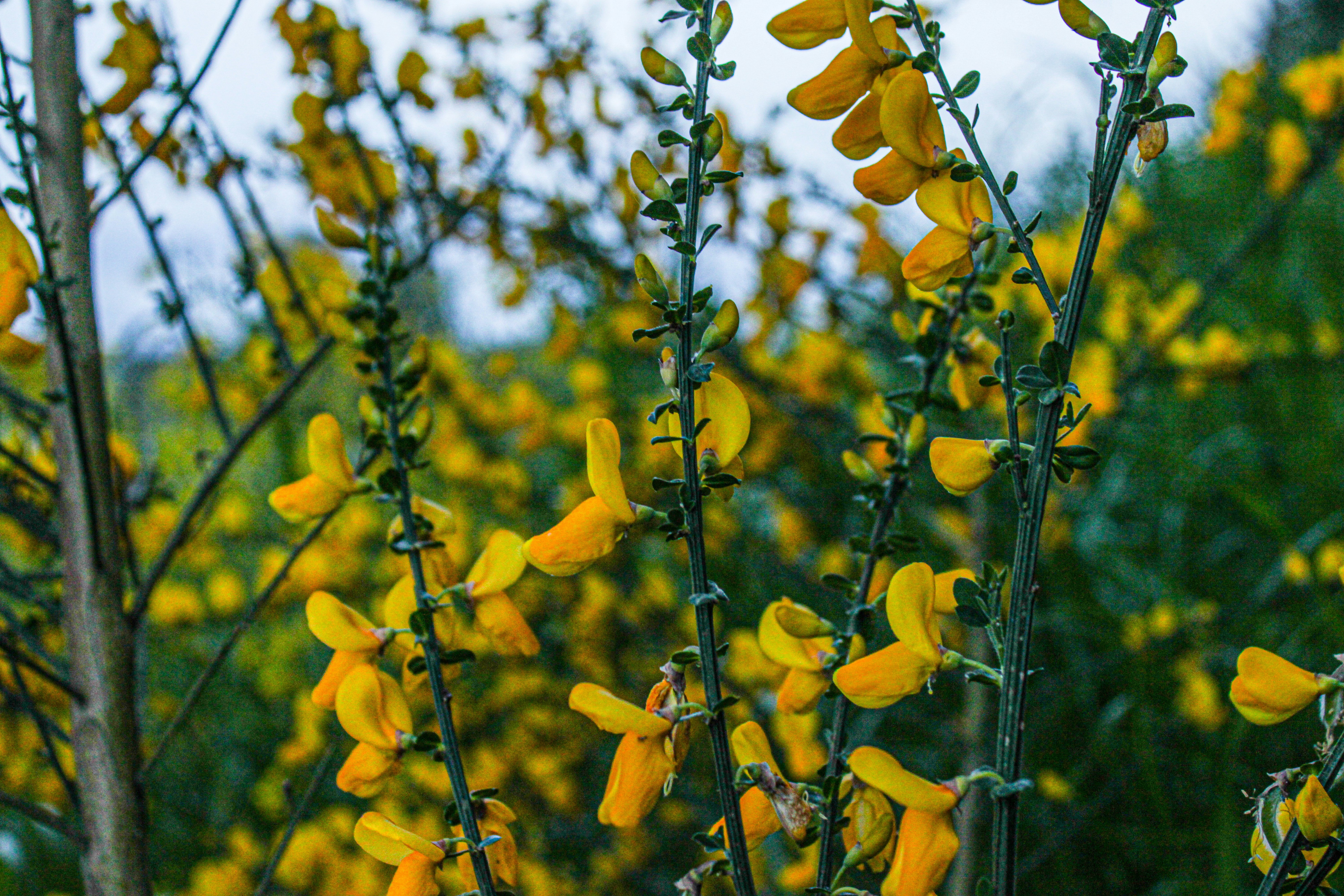 Photo by prphotography262