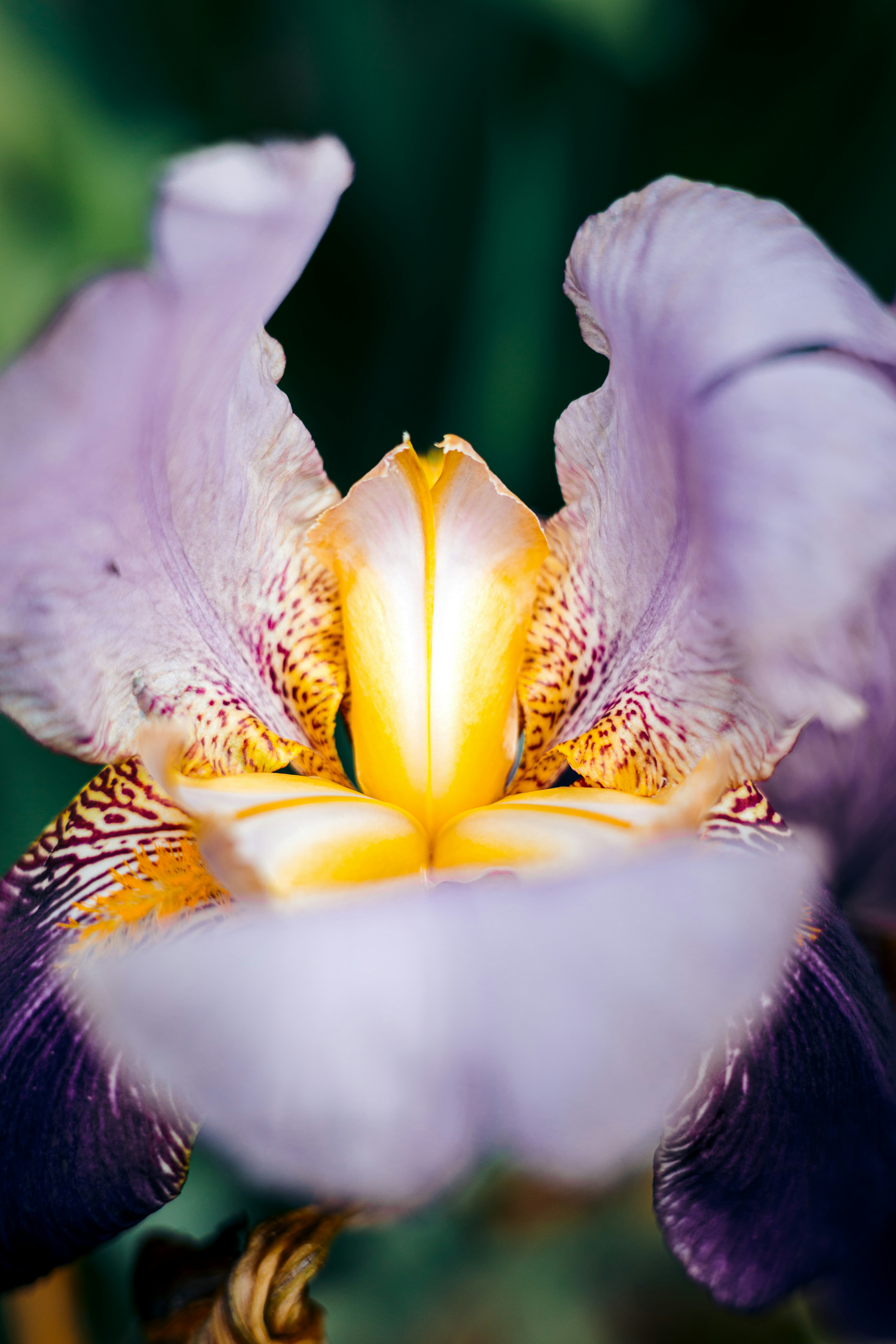 Photo by ldpeterson11