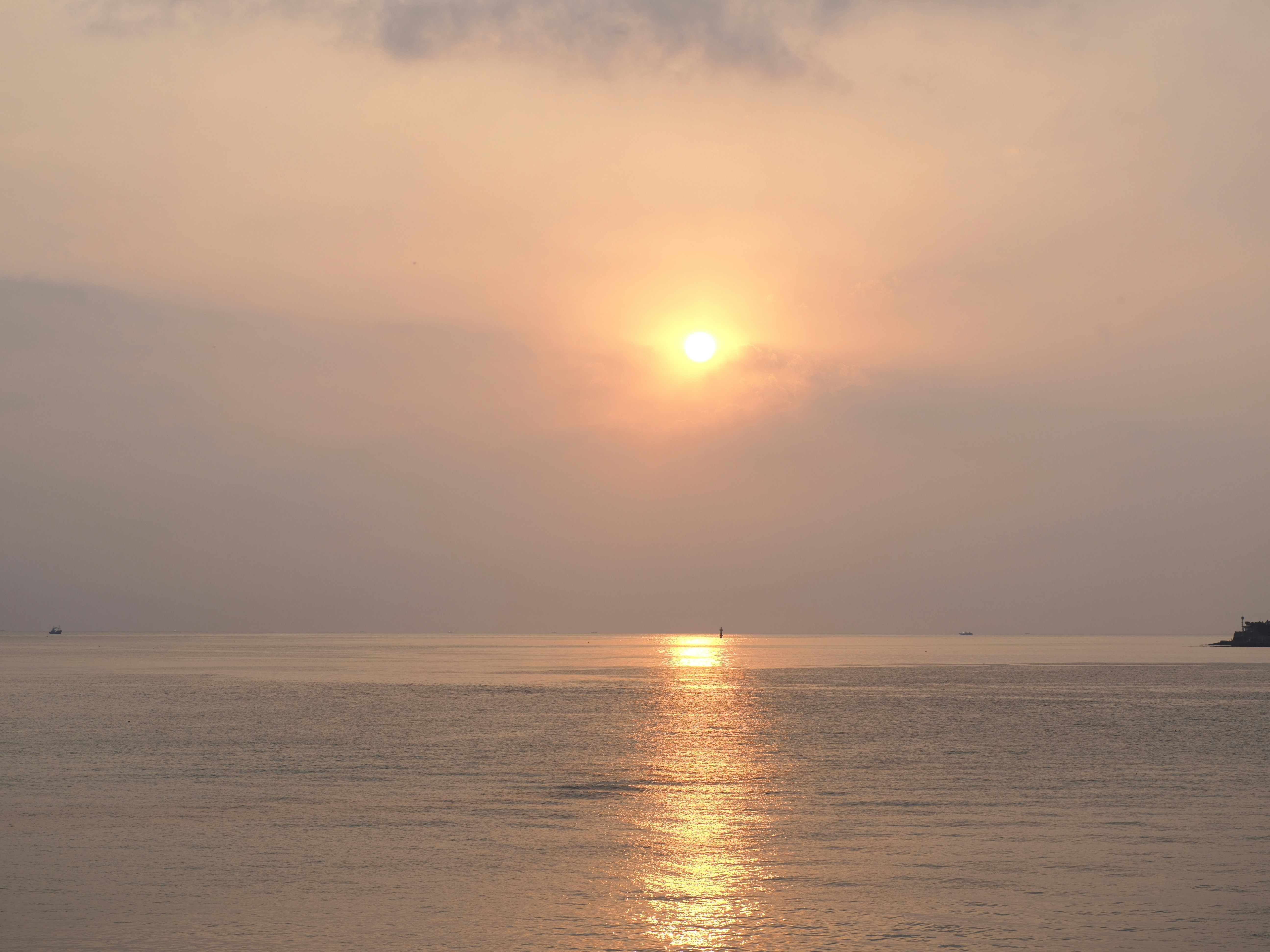 Photo by liangzi666
