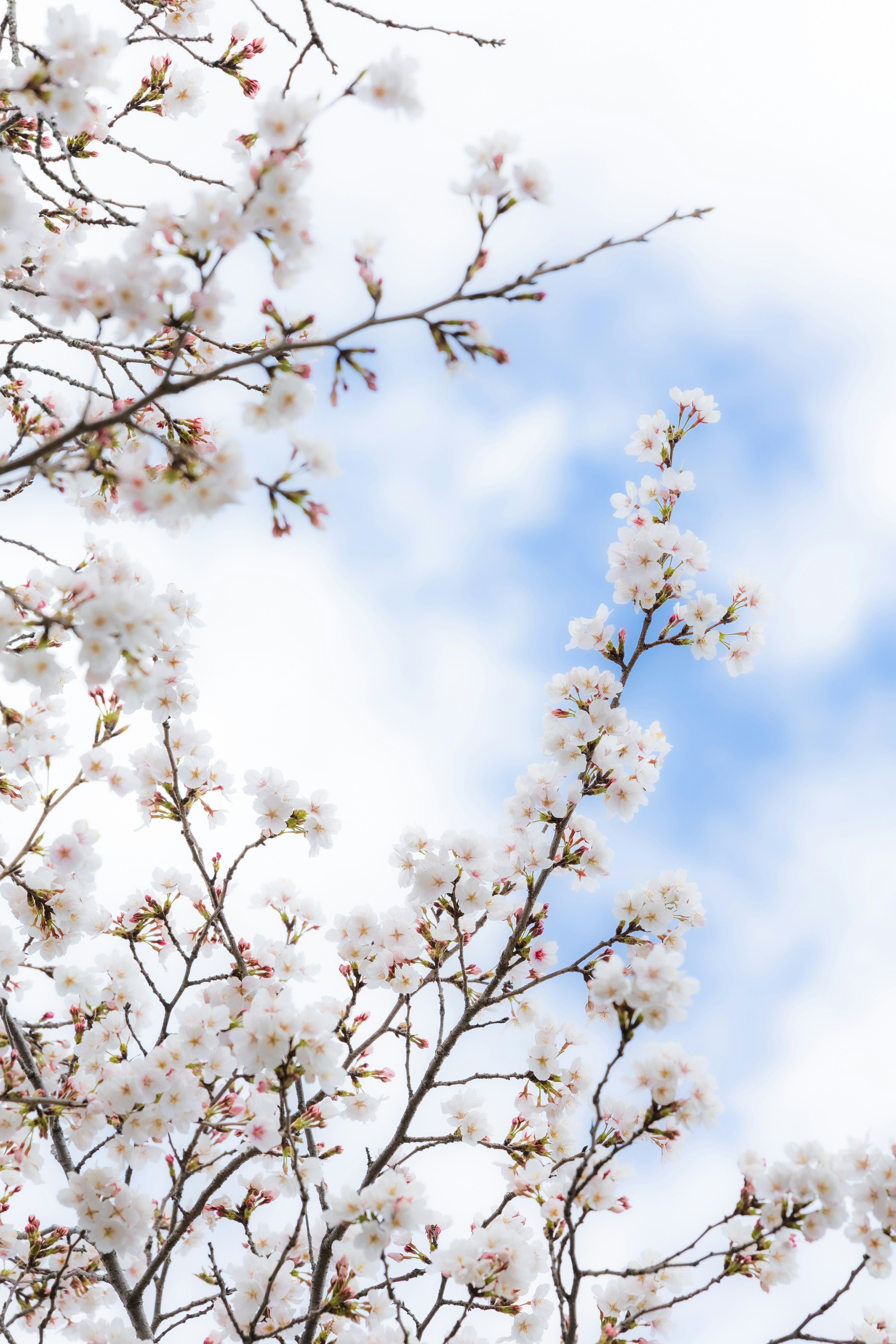 Photo by wenhao_ruan