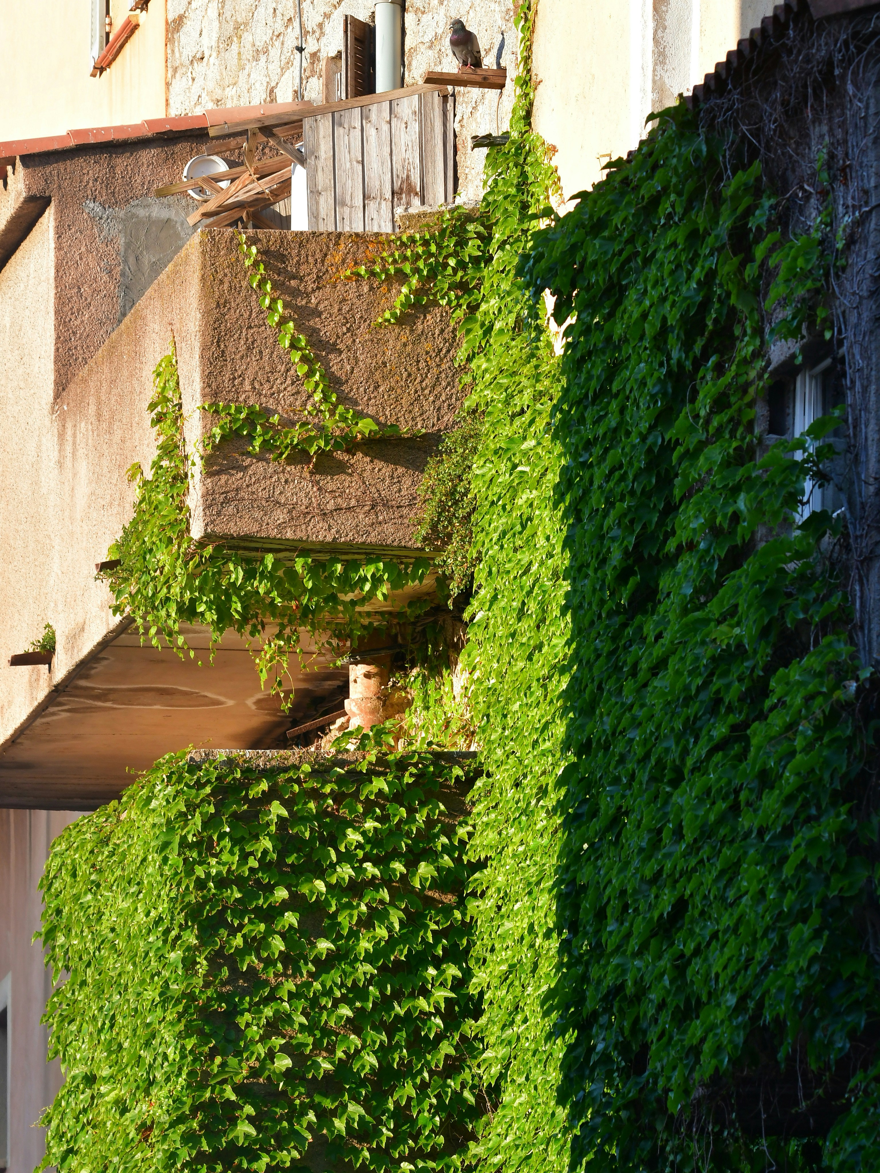 Photo by pedrino5_official