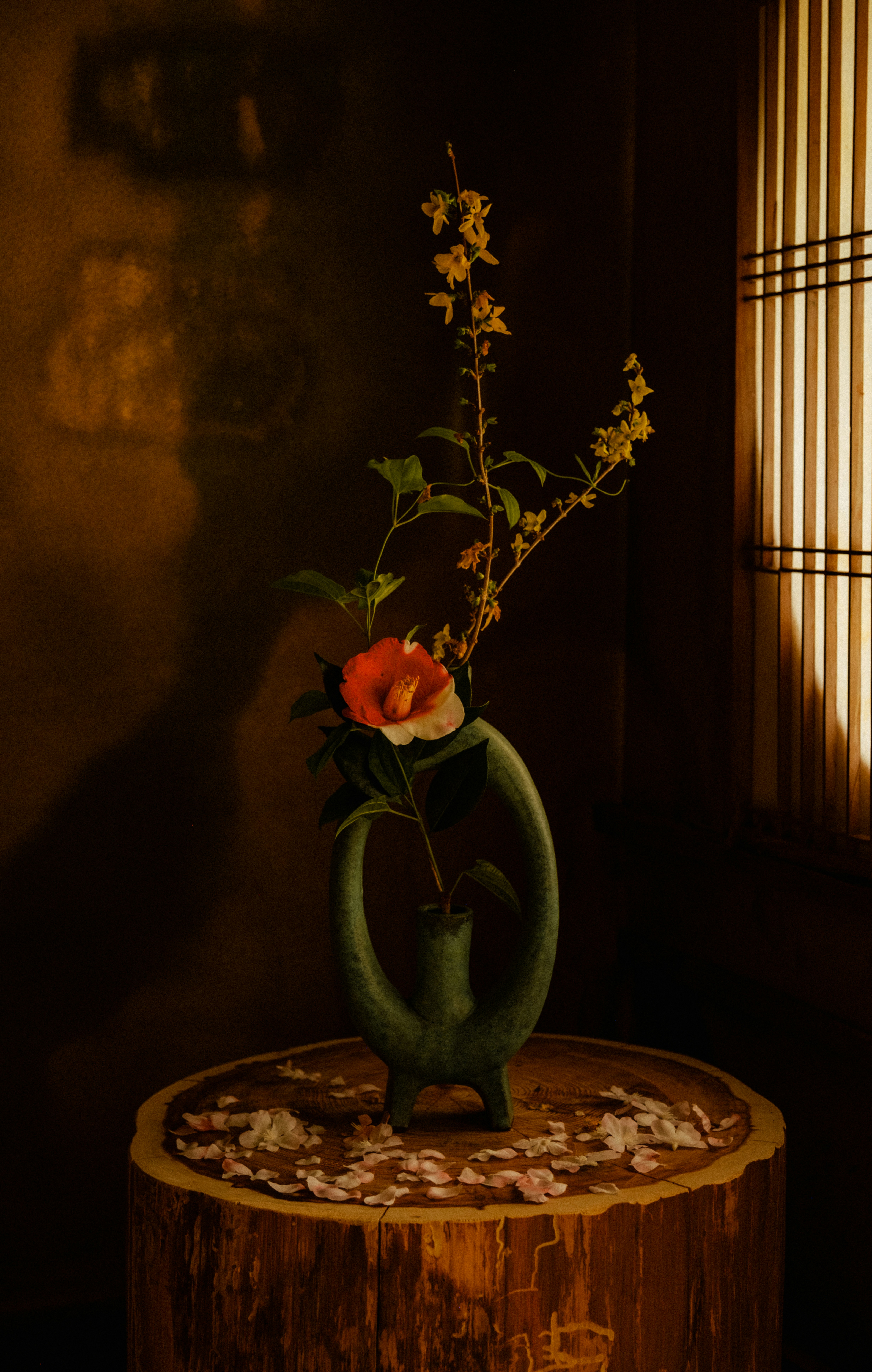 Photo by evanambrose