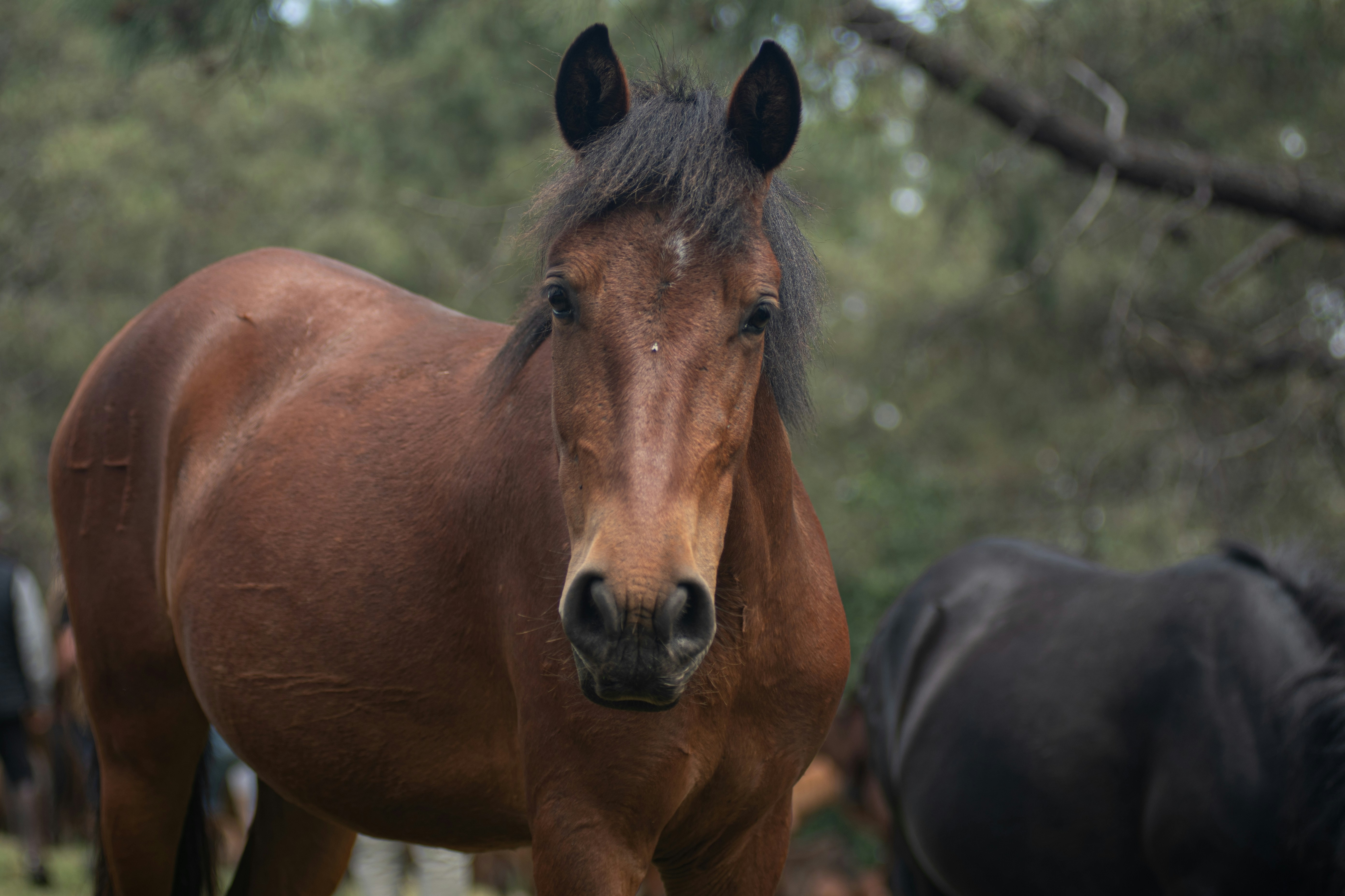 Photo by nataliaraylenegusakova