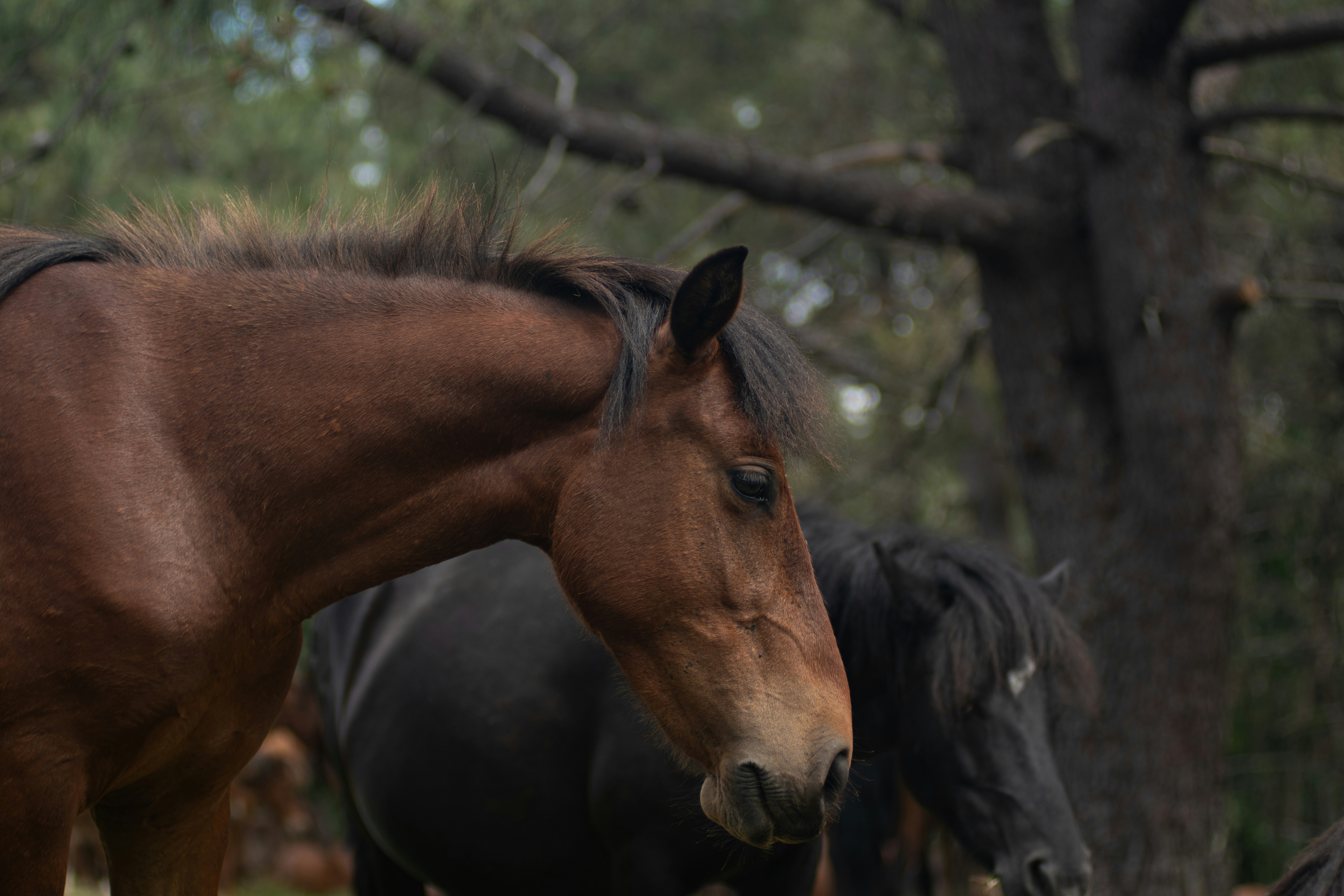 Photo by nataliaraylenegusakova
