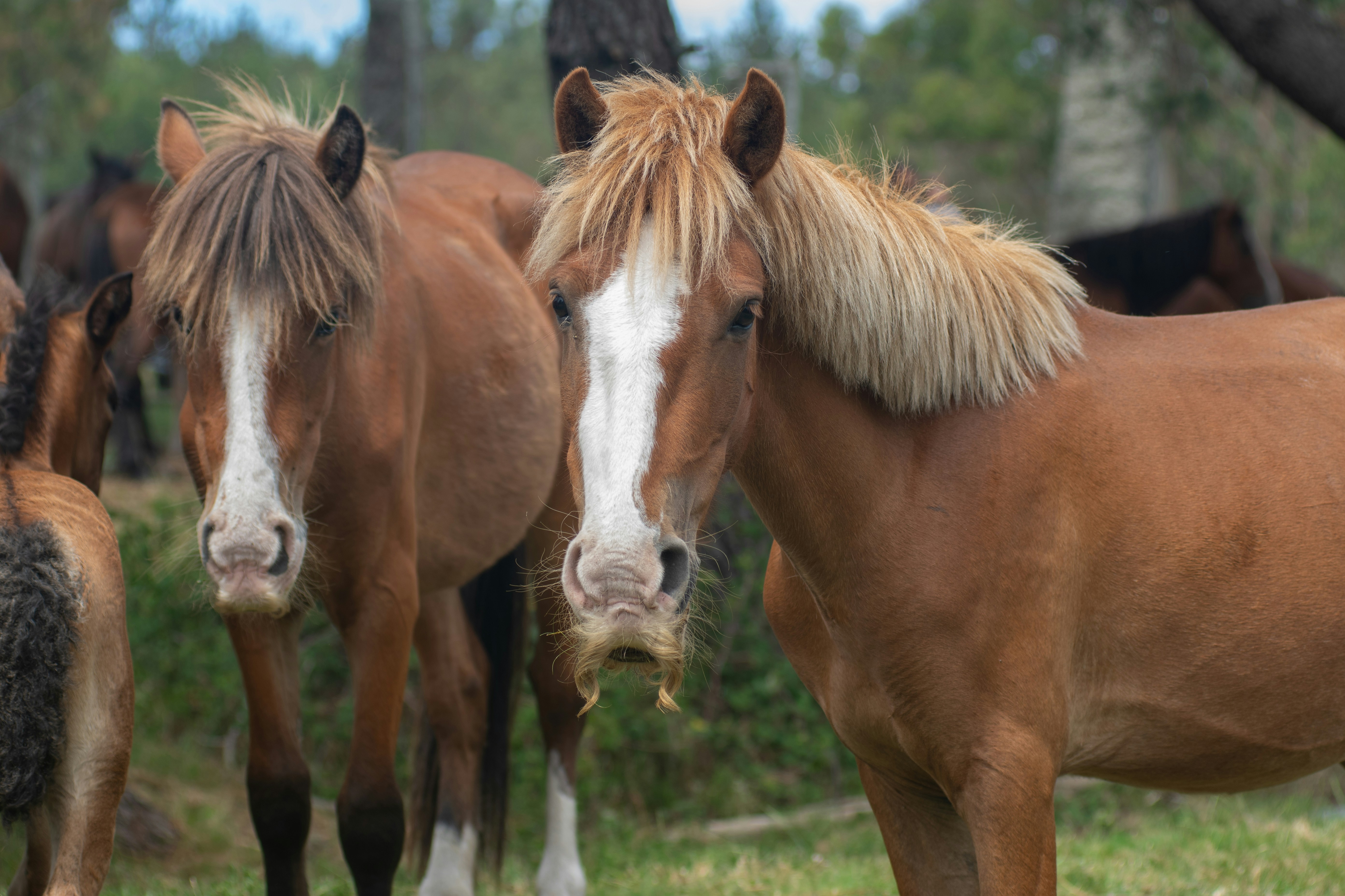 Photo by nataliaraylenegusakova