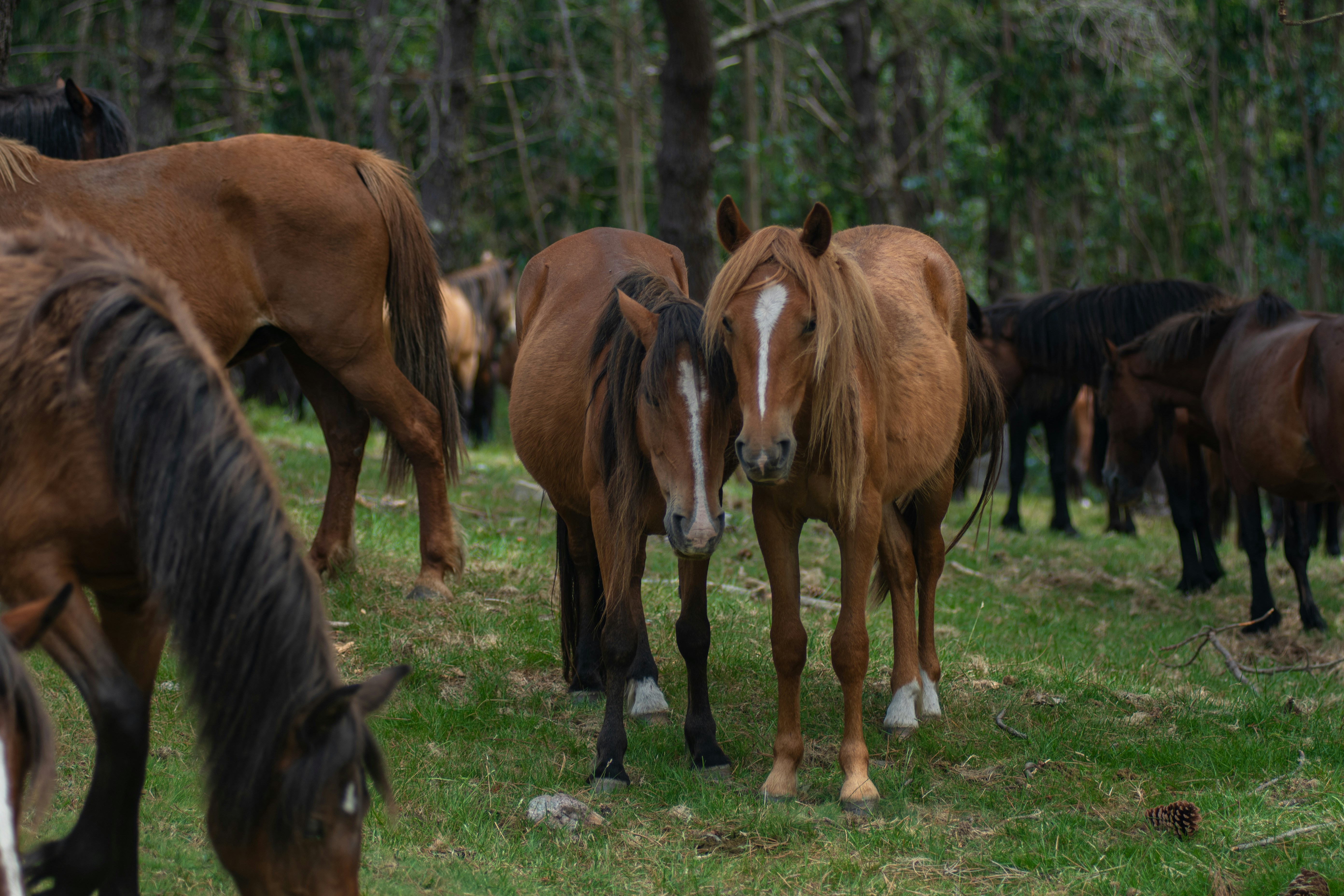 Photo by nataliaraylenegusakova