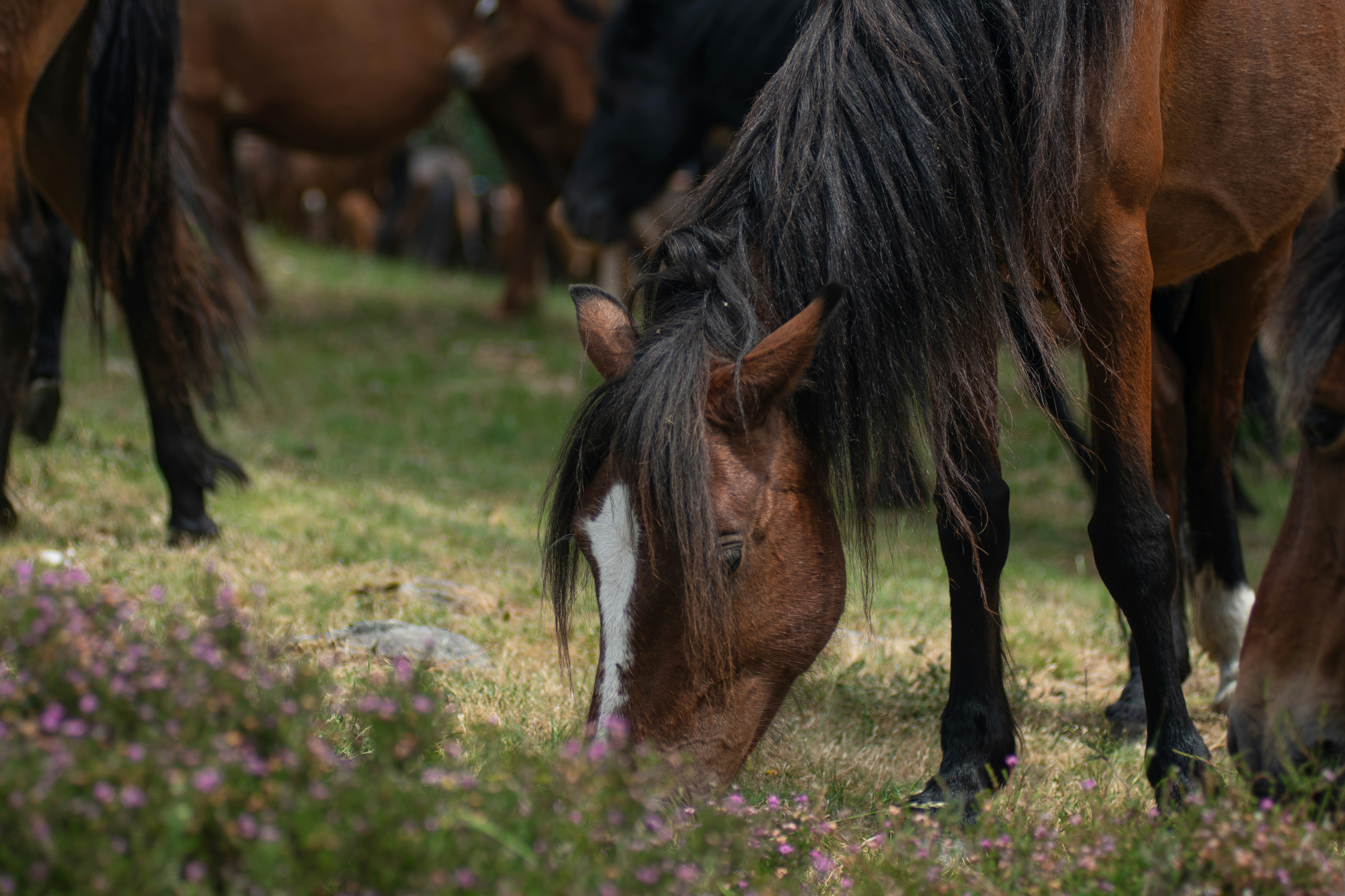 Photo by nataliaraylenegusakova