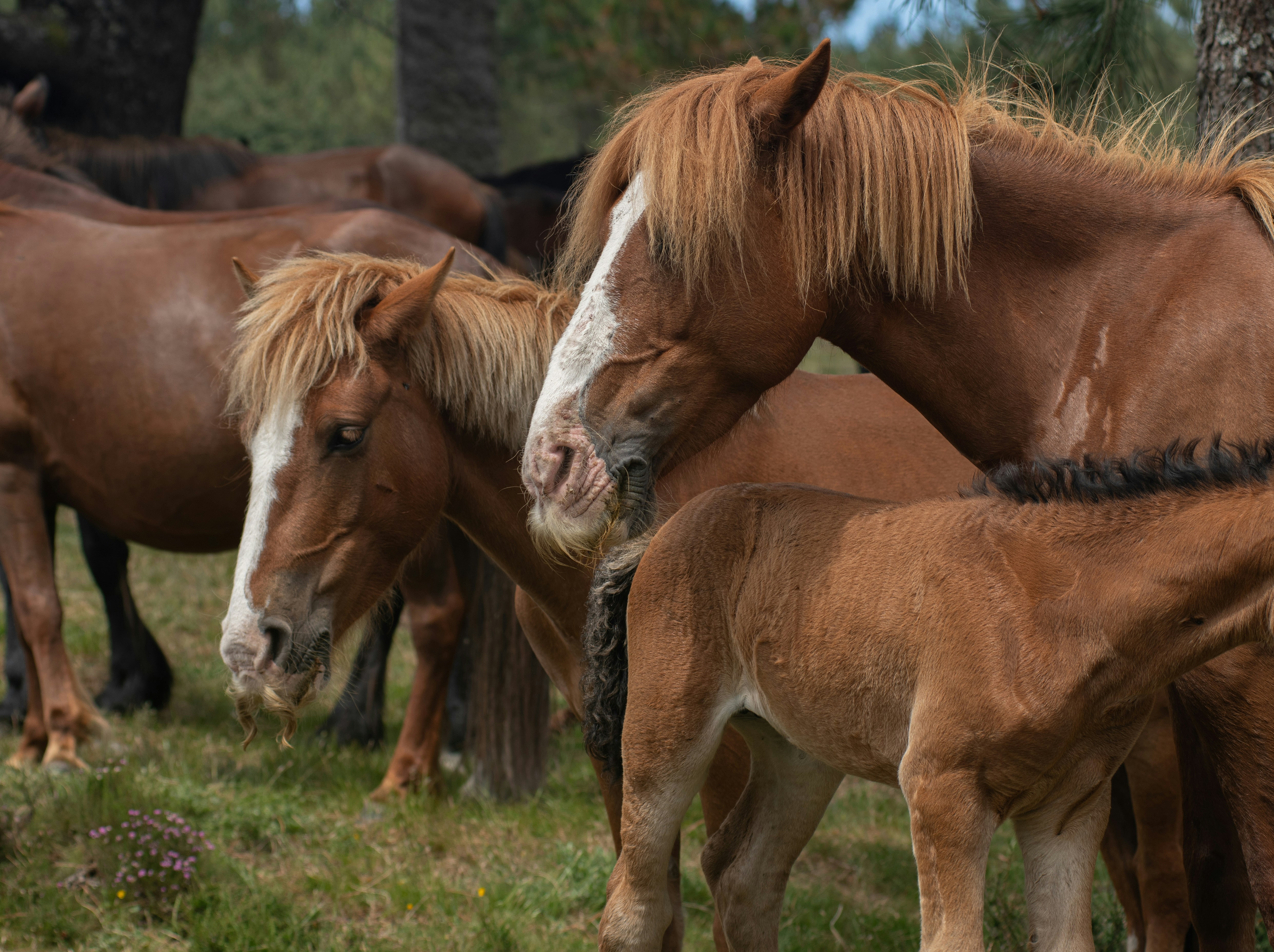 Photo by nataliaraylenegusakova