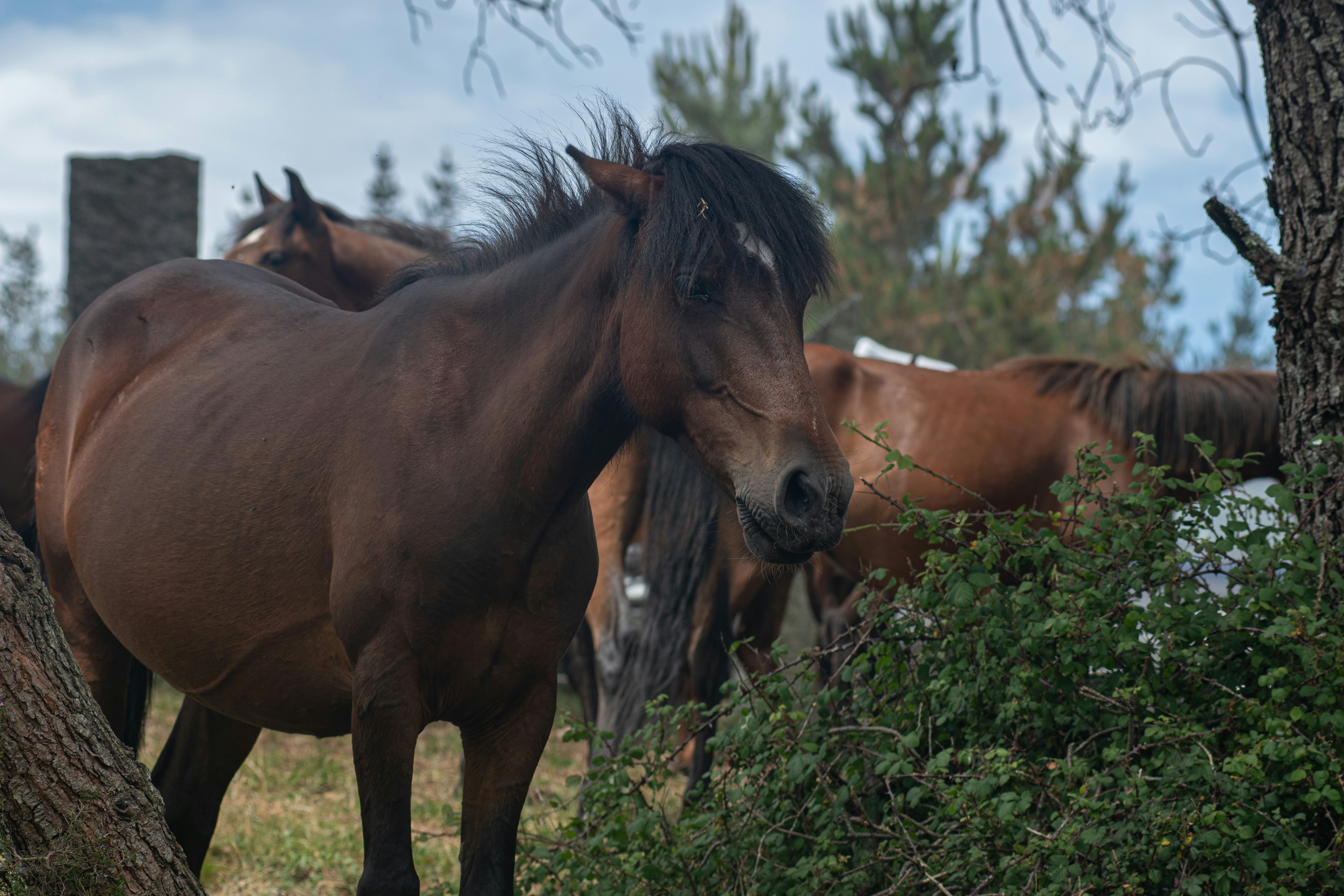 Photo by nataliaraylenegusakova