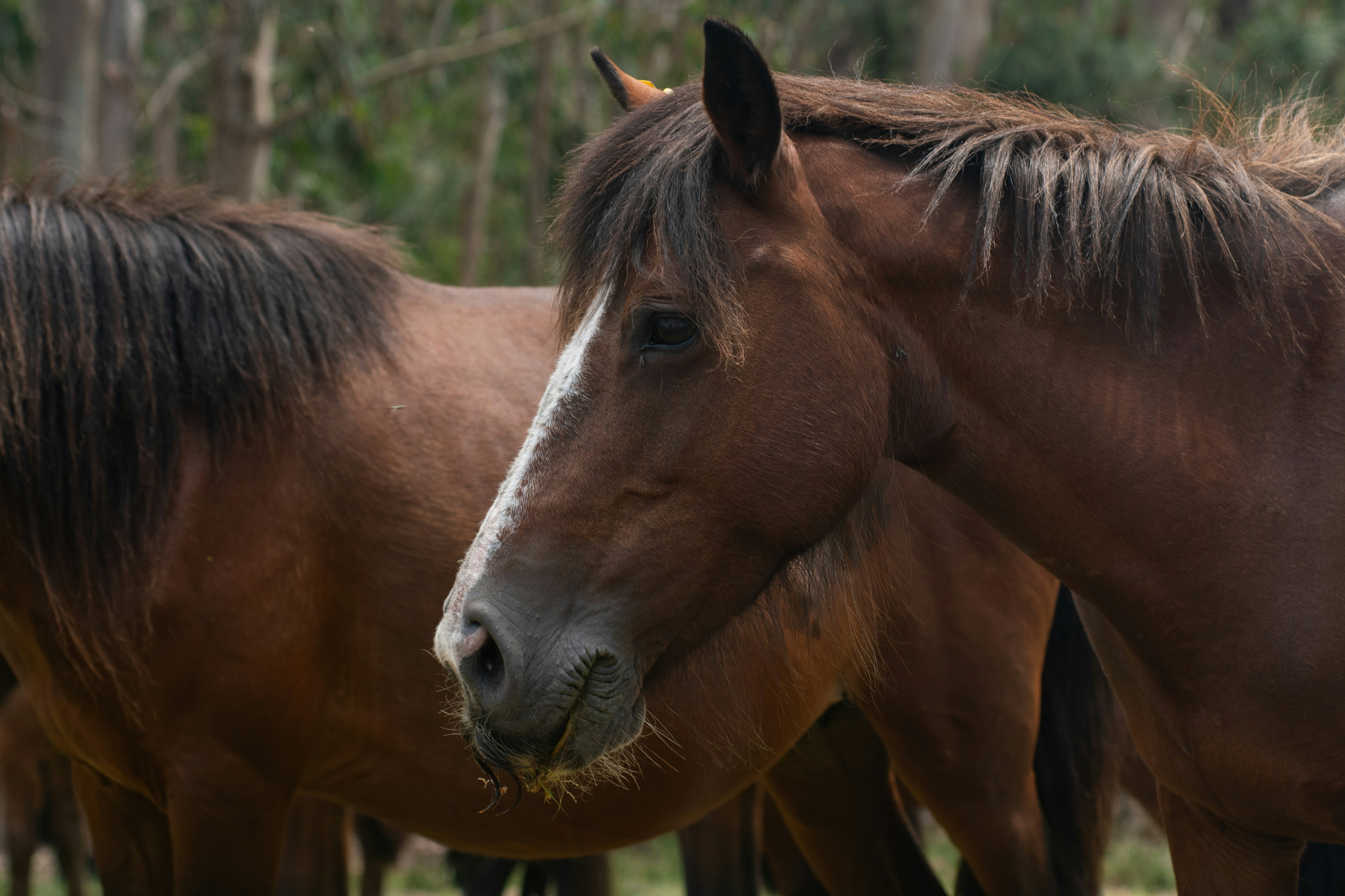 Photo by nataliaraylenegusakova