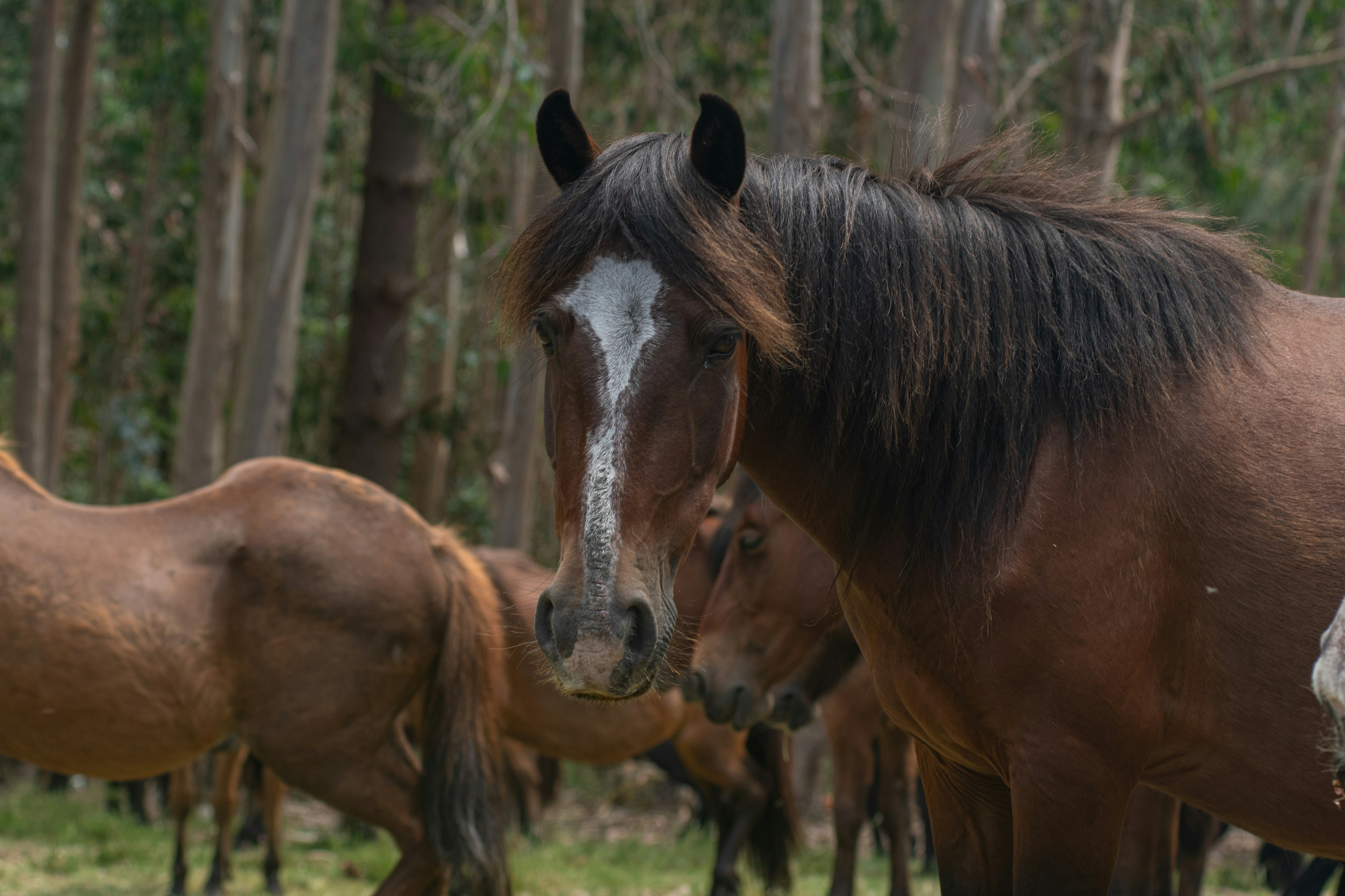 Photo by nataliaraylenegusakova