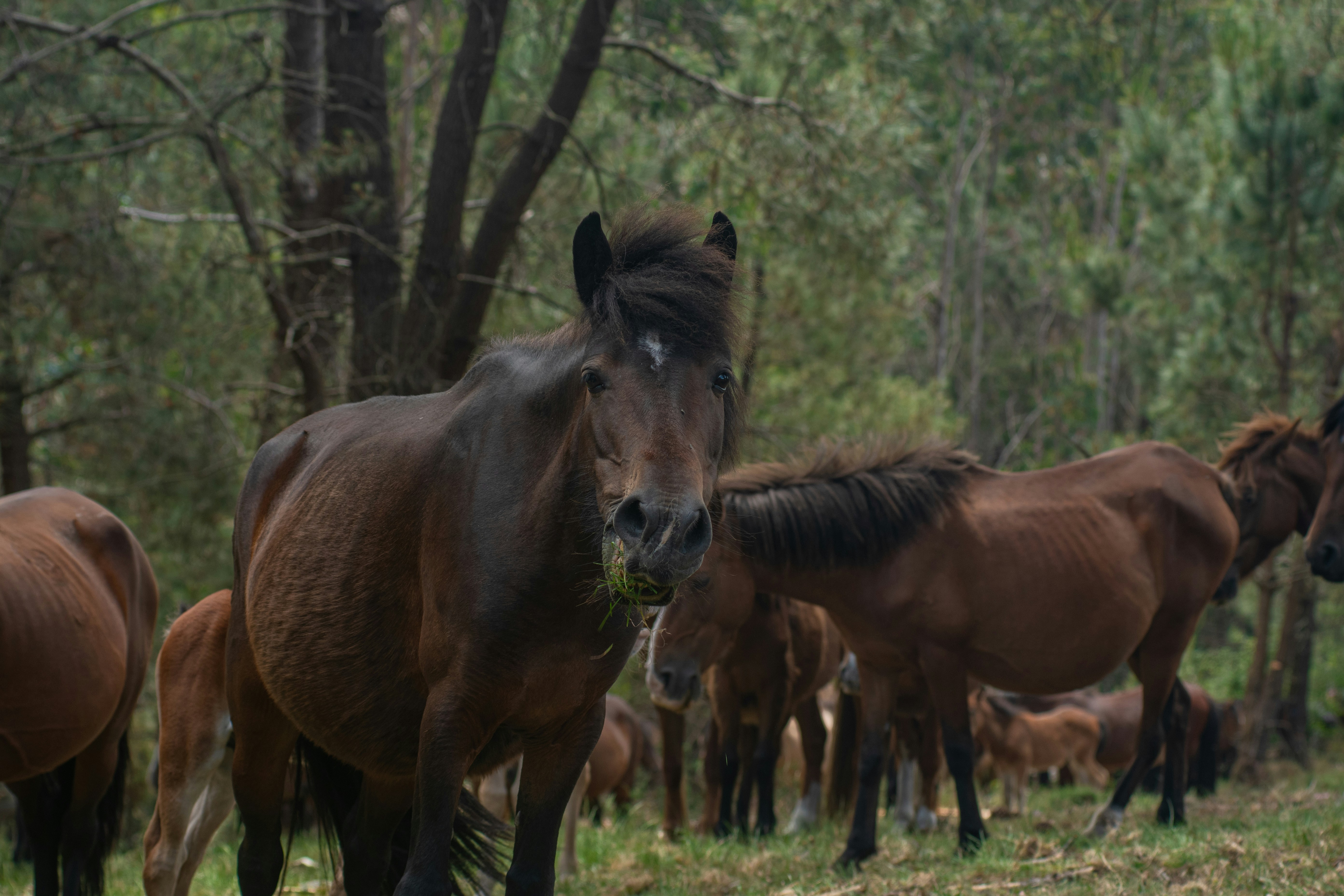 Photo by nataliaraylenegusakova