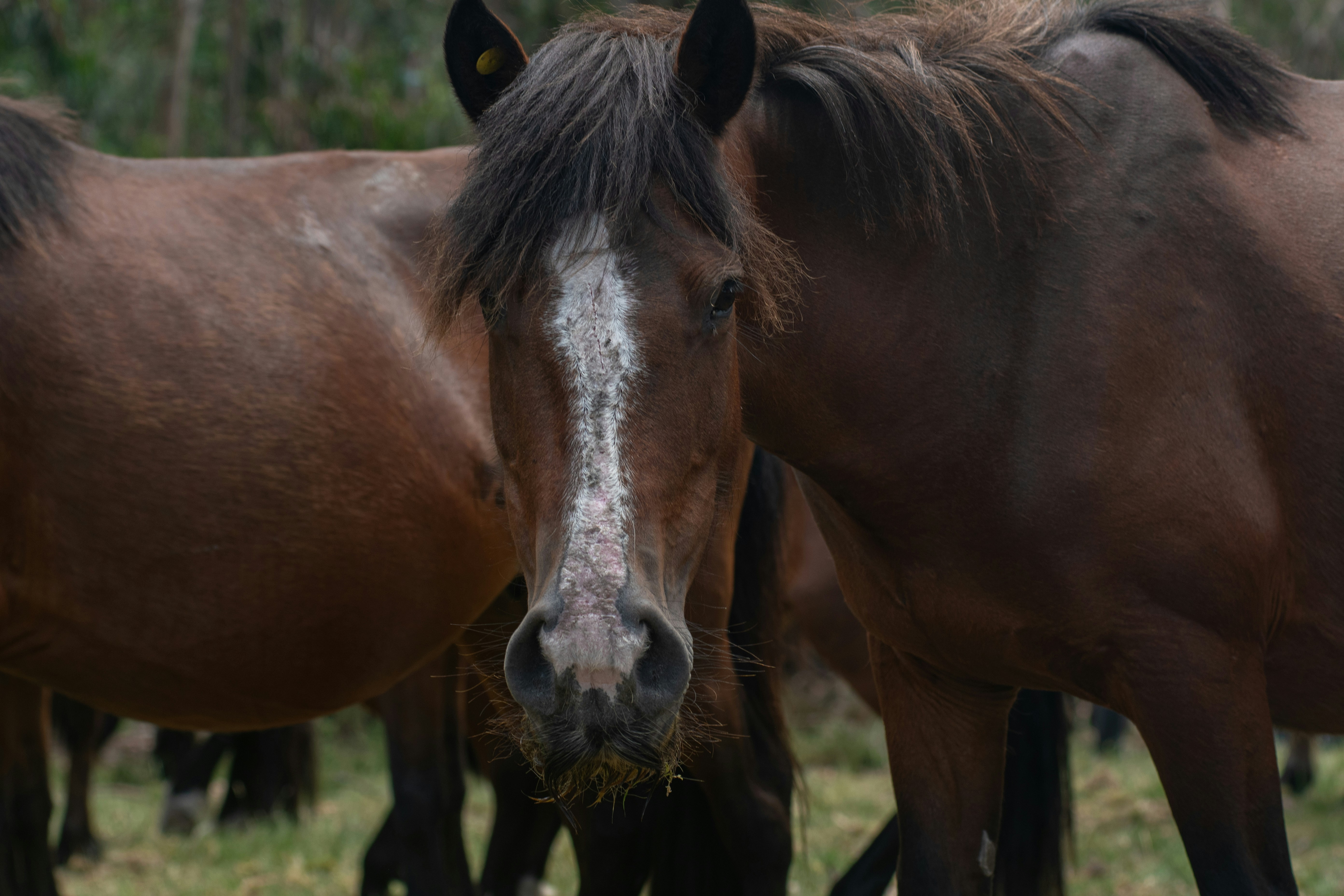 Photo by nataliaraylenegusakova