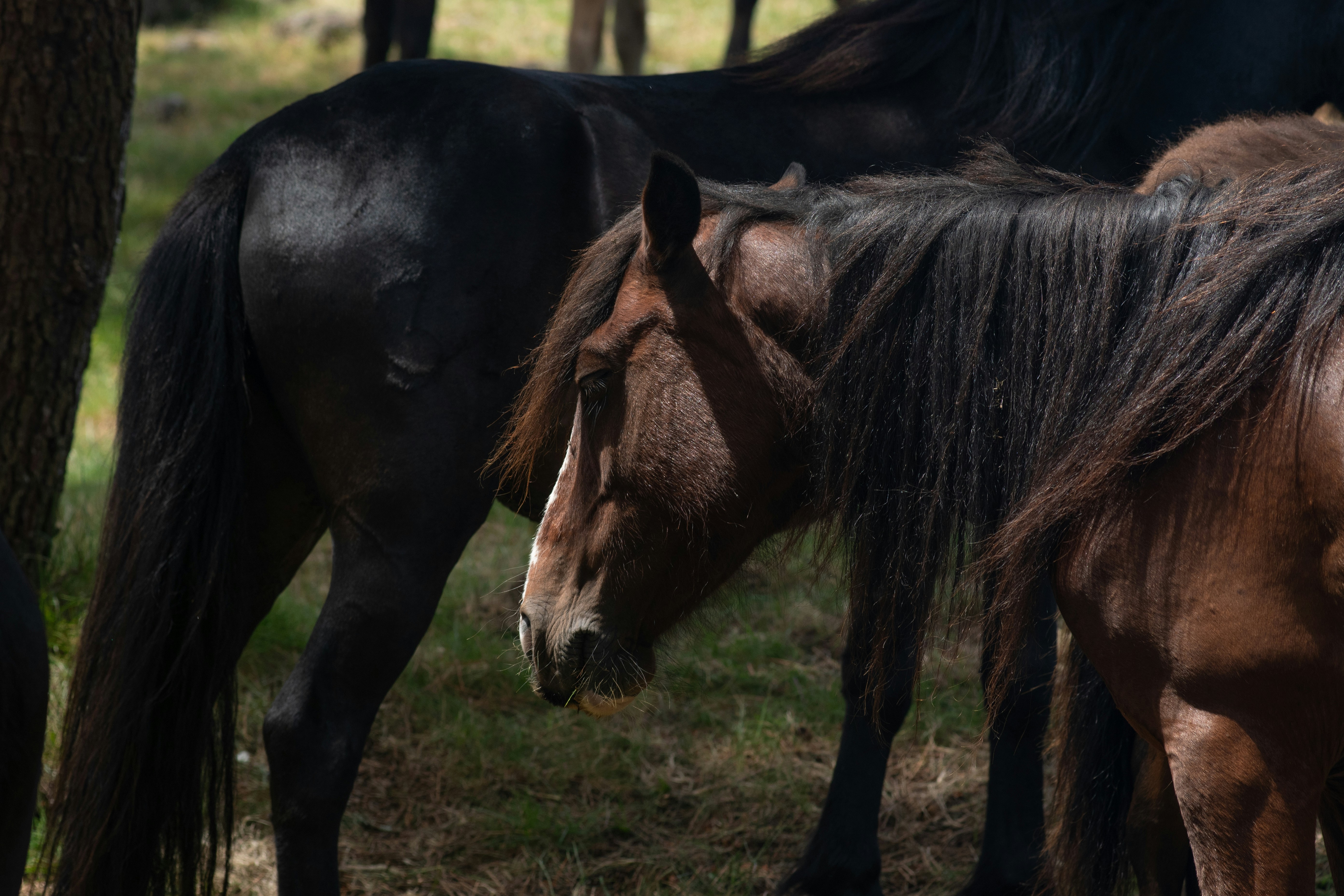 Photo by nataliaraylenegusakova