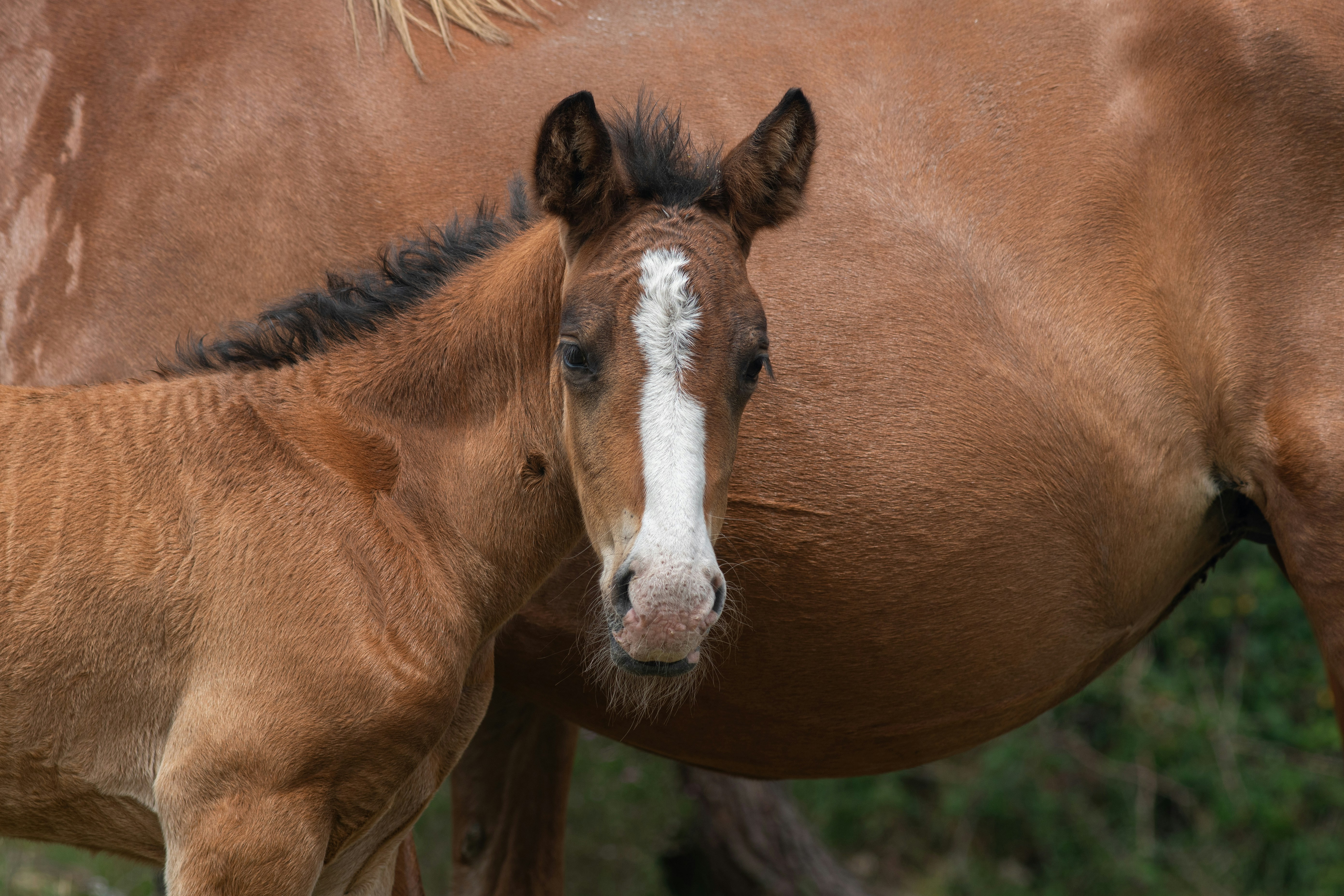 Photo by nataliaraylenegusakova