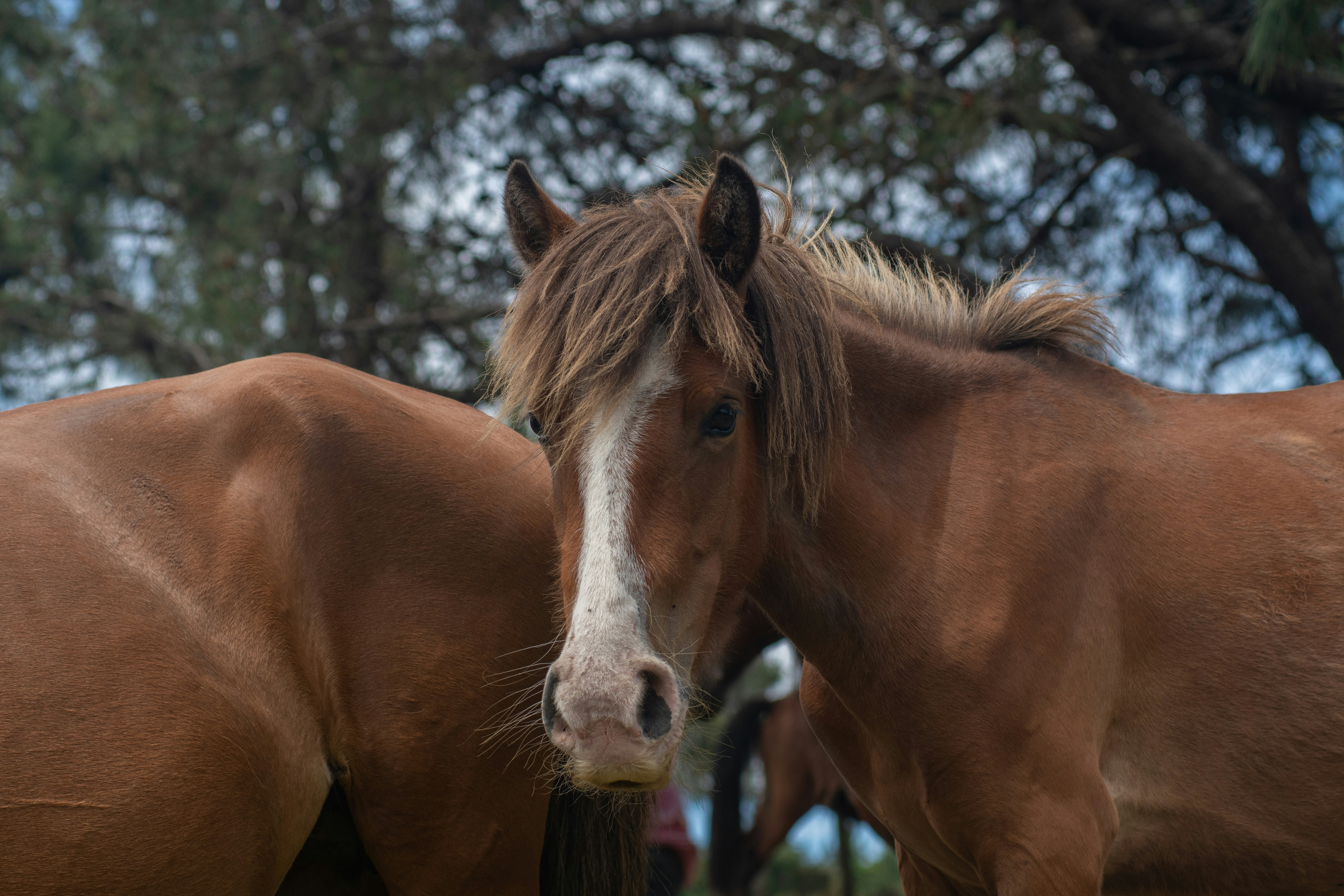 Photo by nataliaraylenegusakova