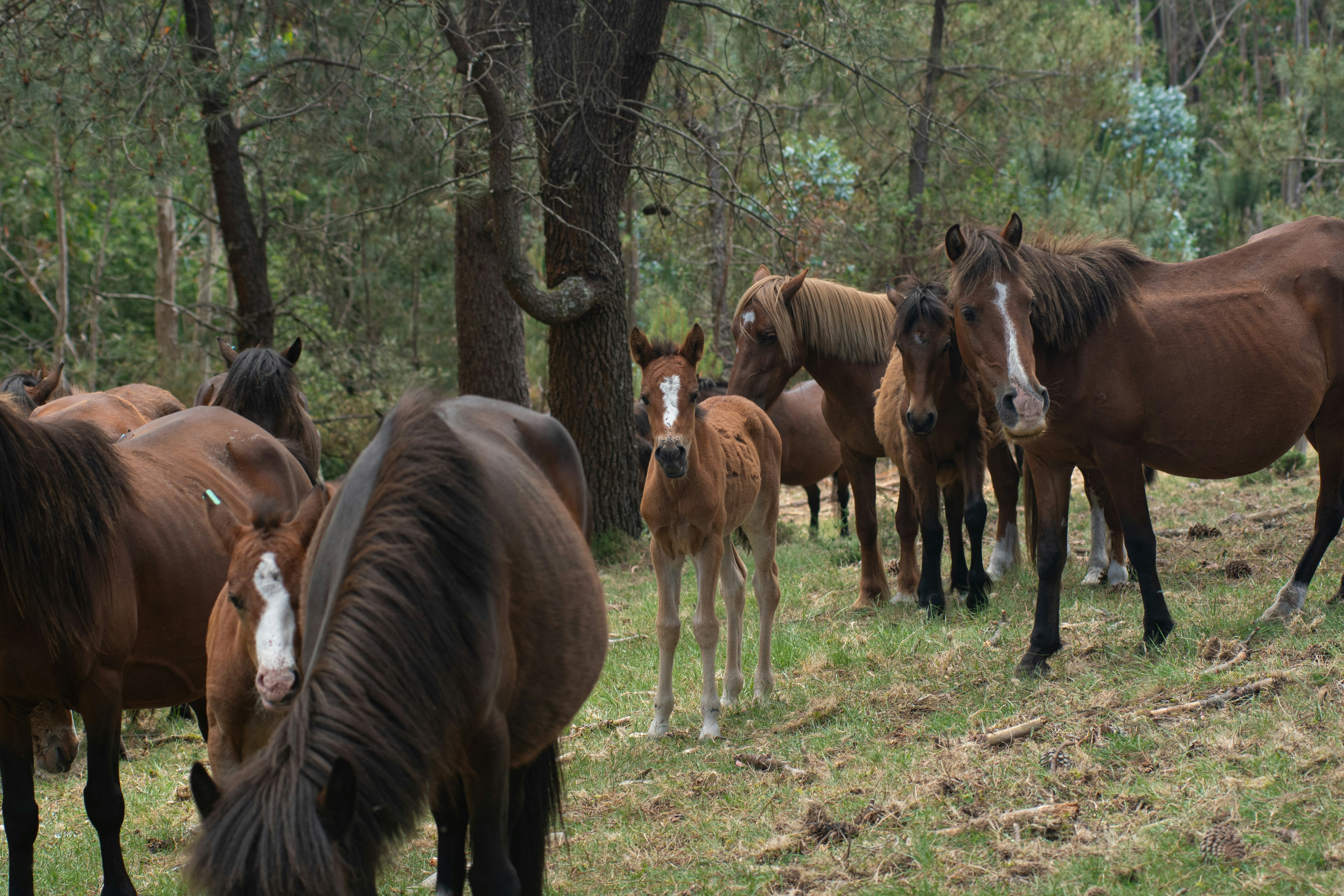 Photo by nataliaraylenegusakova