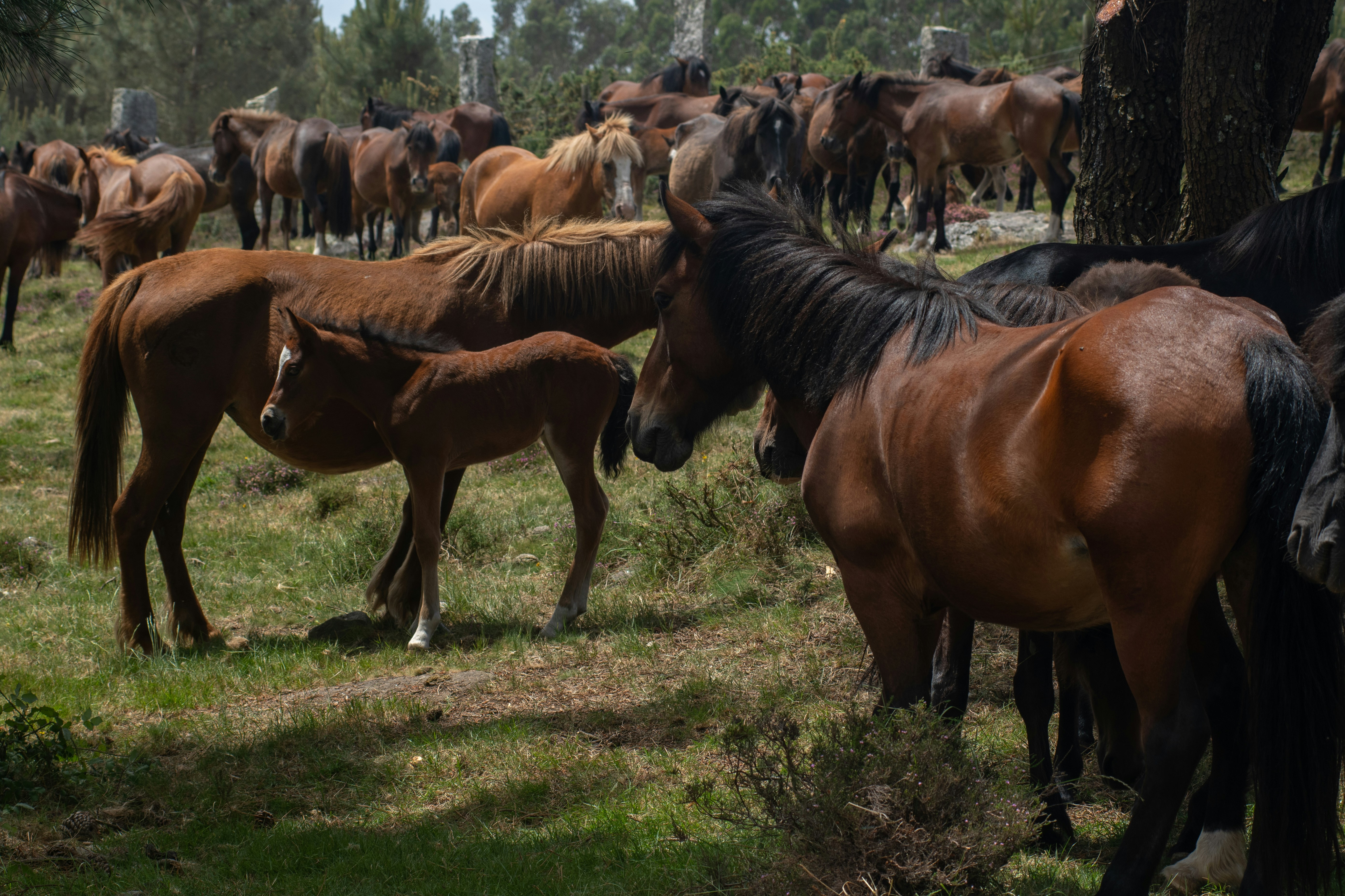 Photo by nataliaraylenegusakova