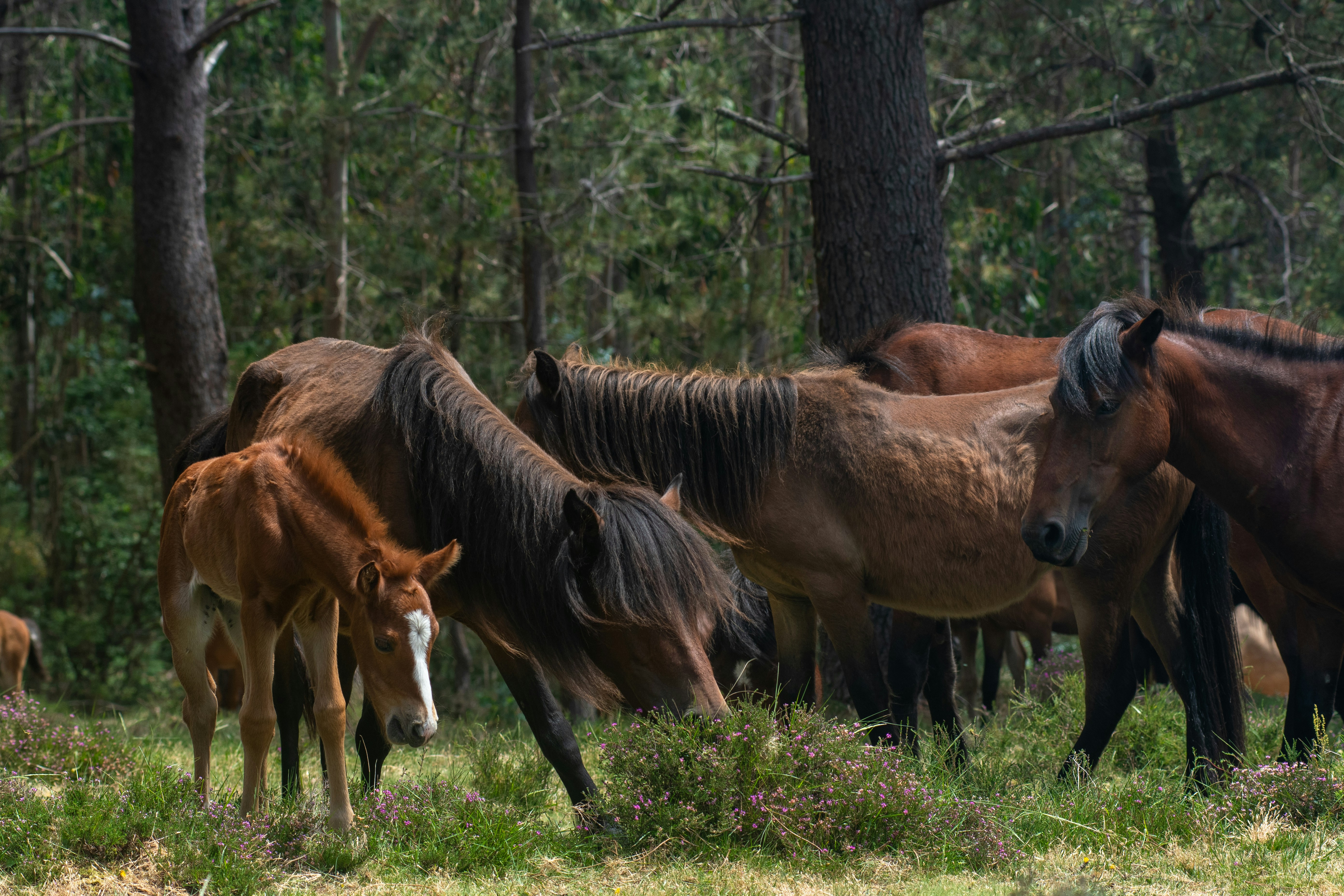 Photo by nataliaraylenegusakova