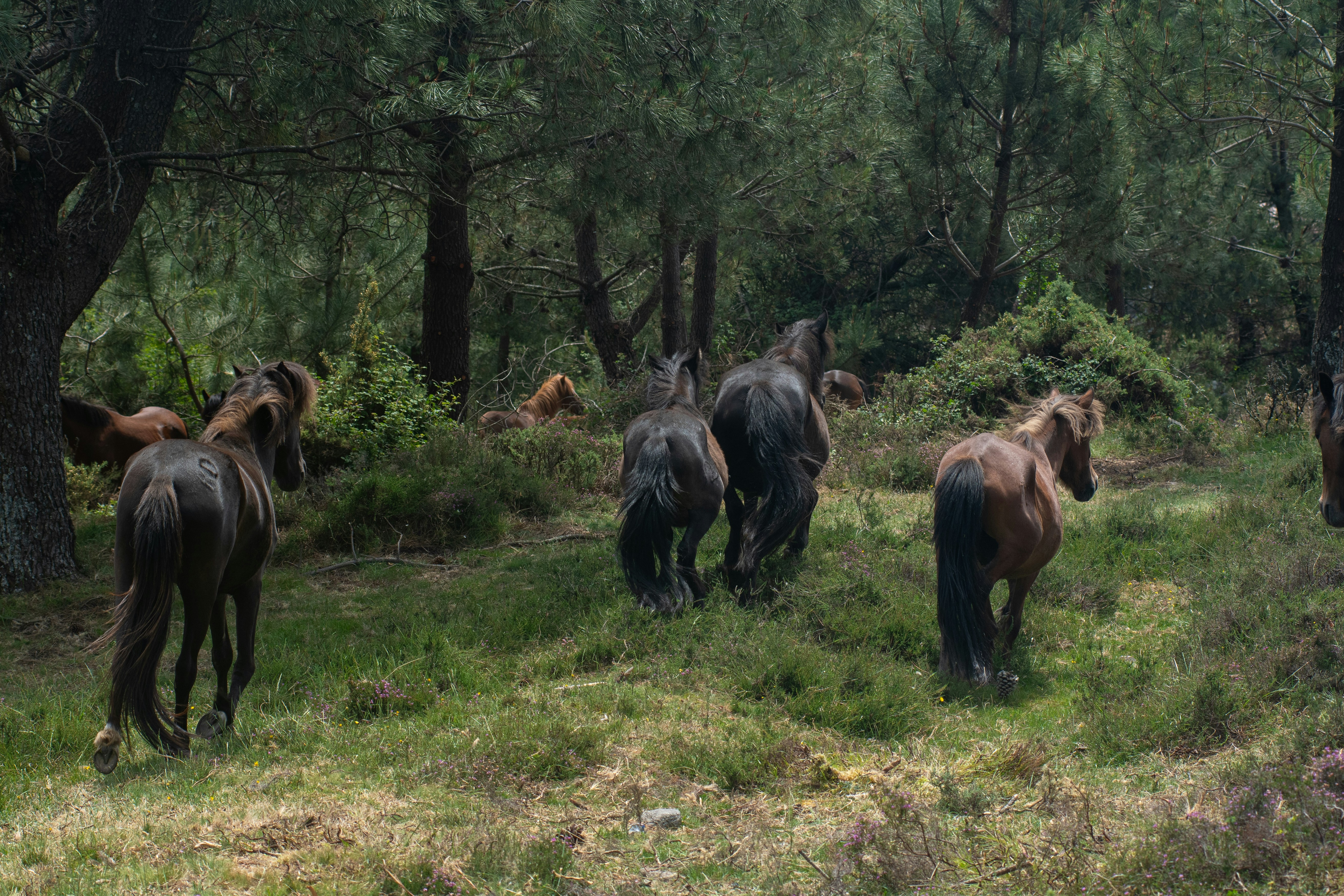 Photo by nataliaraylenegusakova