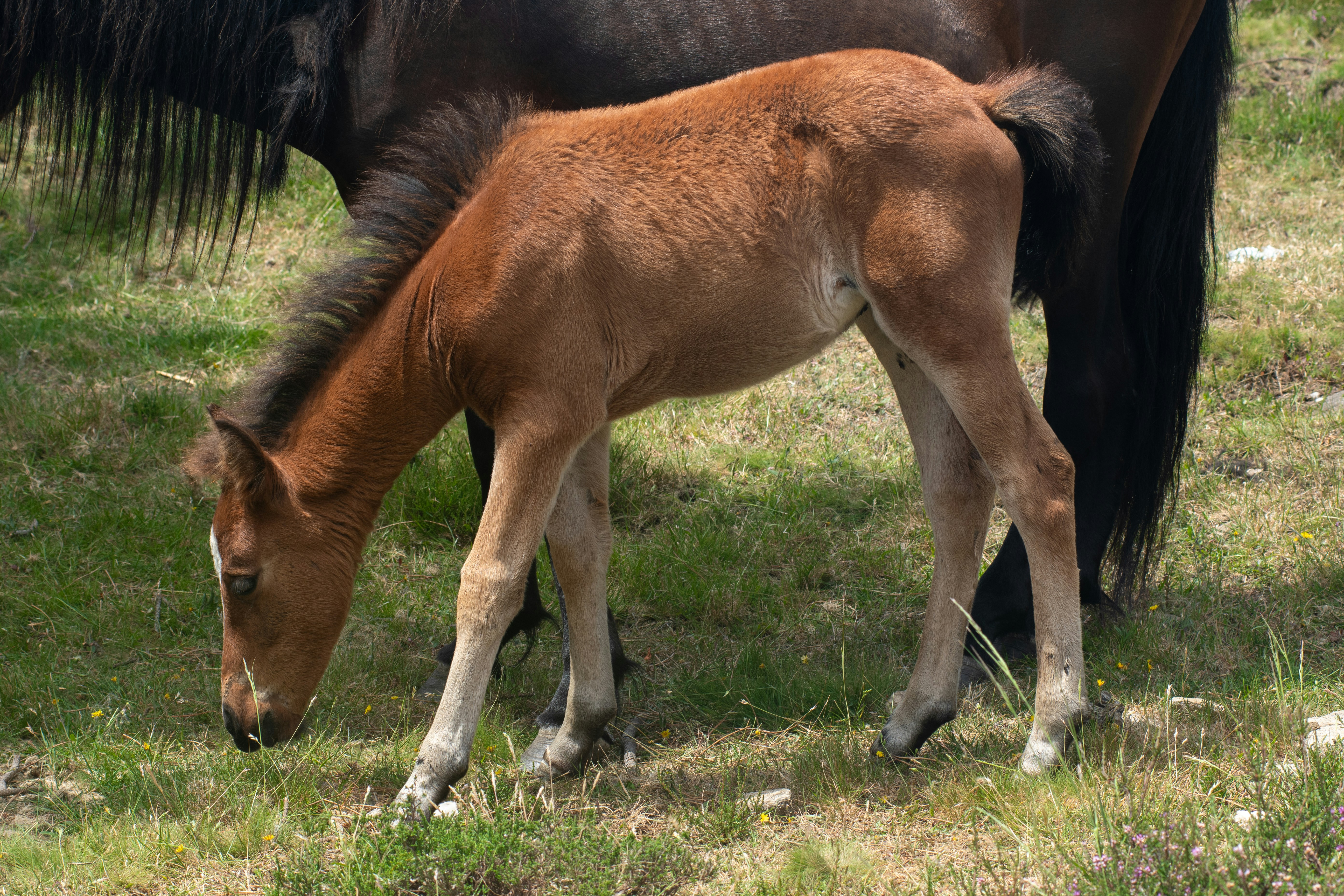 Photo by nataliaraylenegusakova