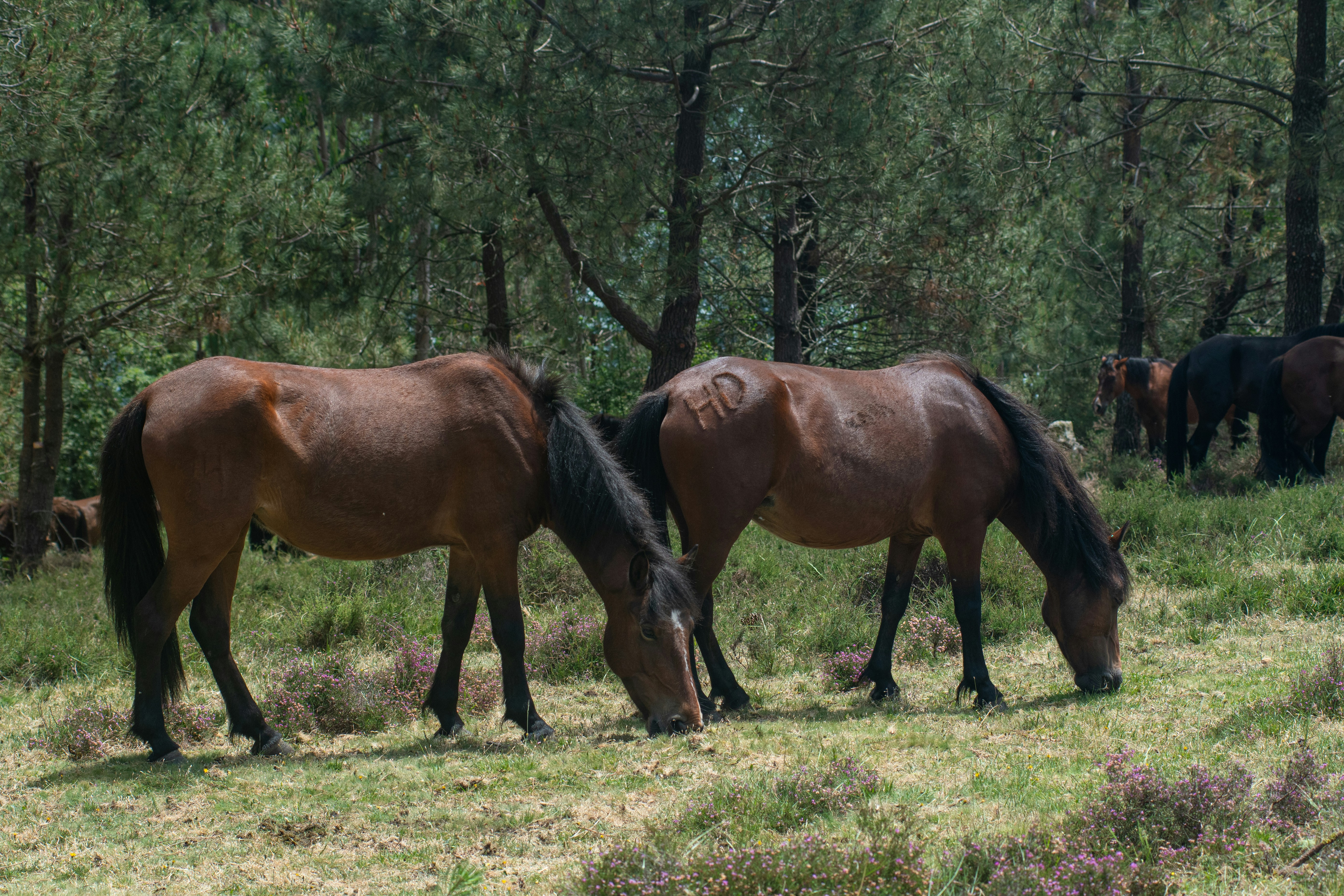 Photo by nataliaraylenegusakova
