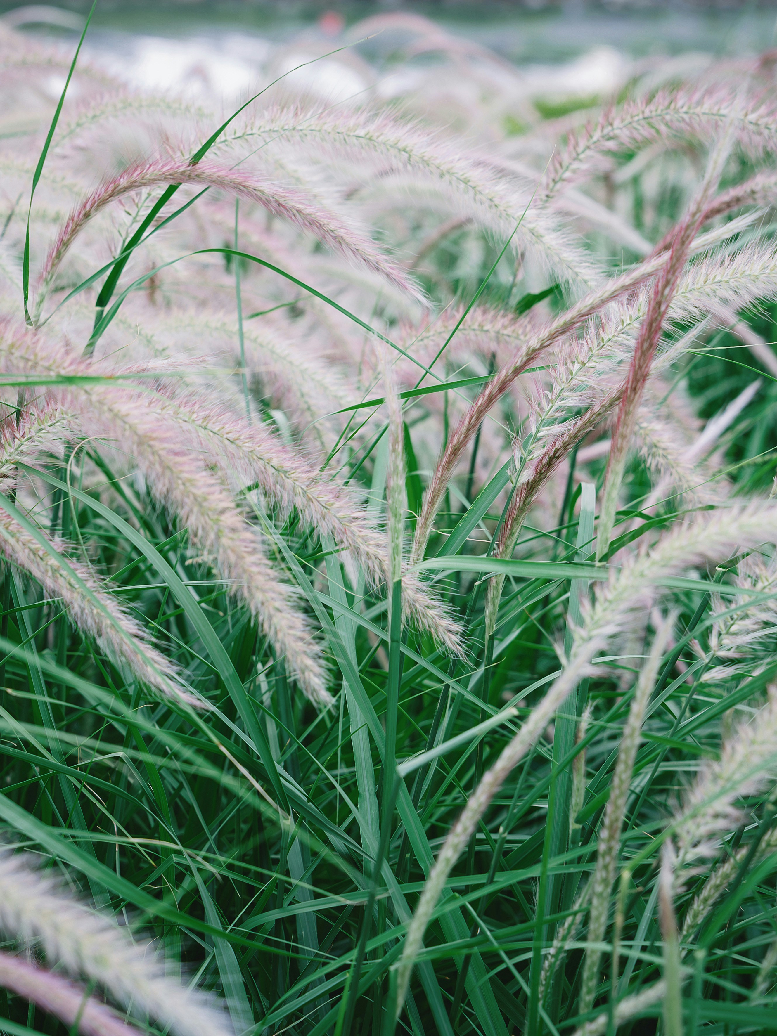 Photo by wangbinghua