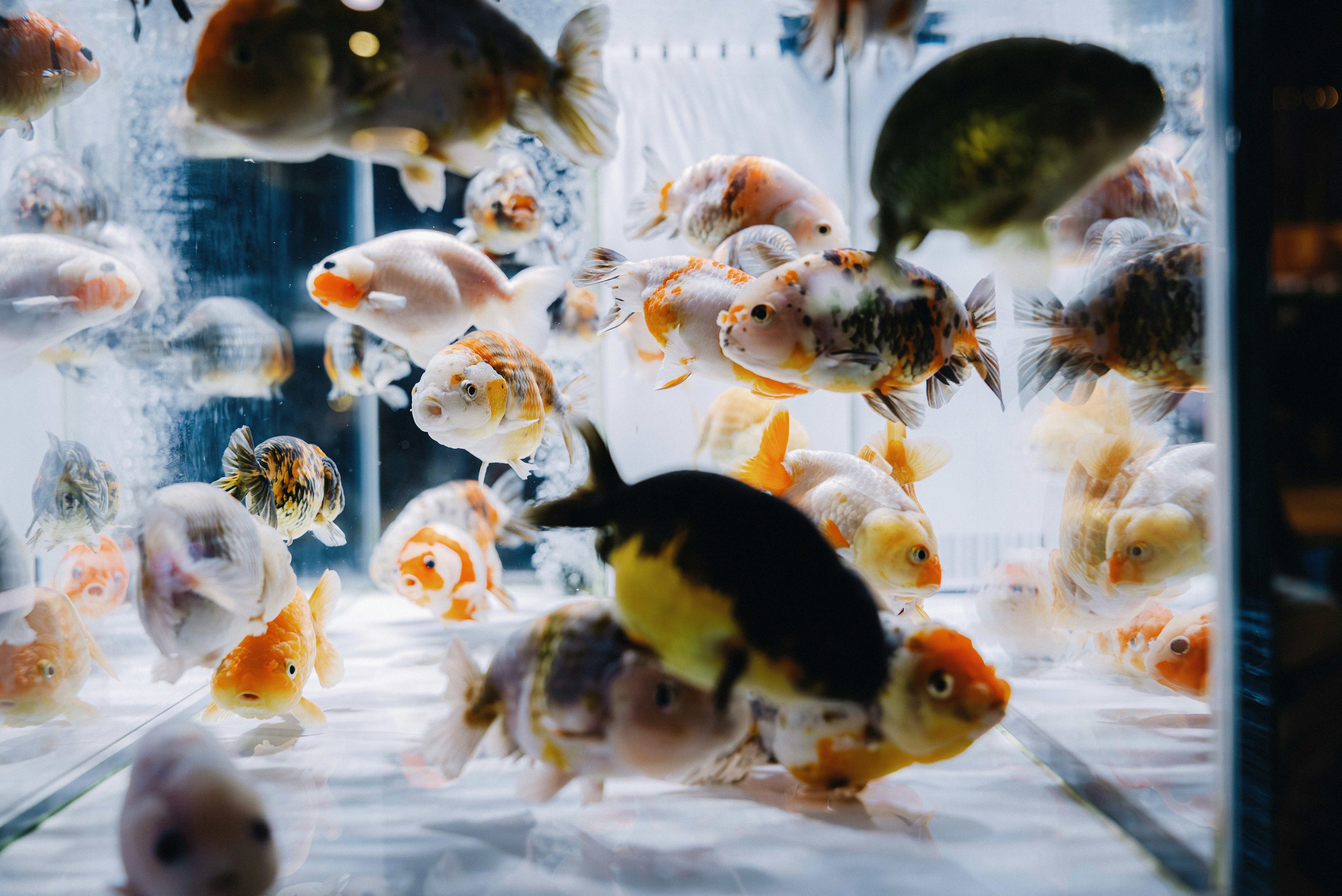 Aquarium filter and heater installation