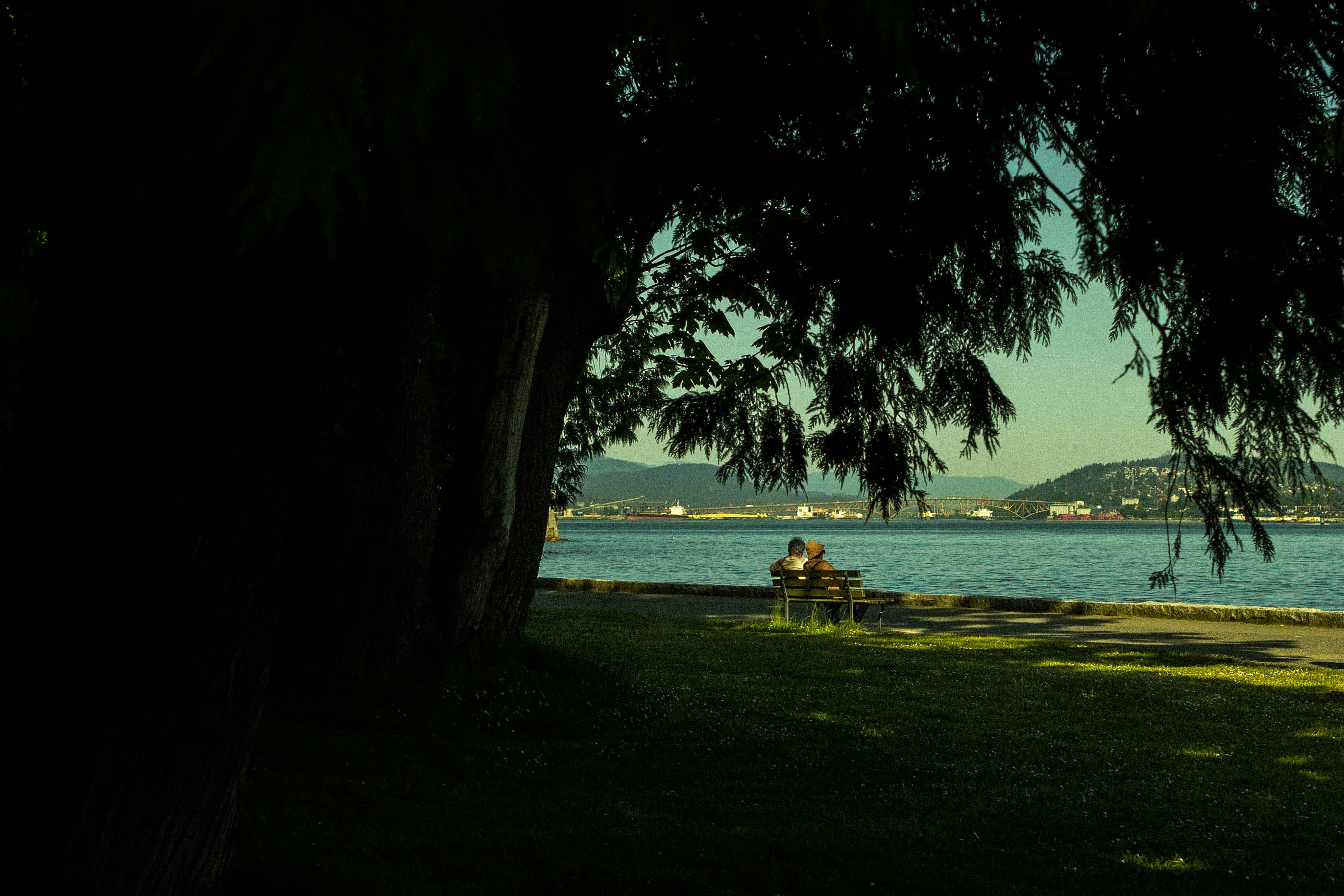 Couple enjoys a view from a park near the water.