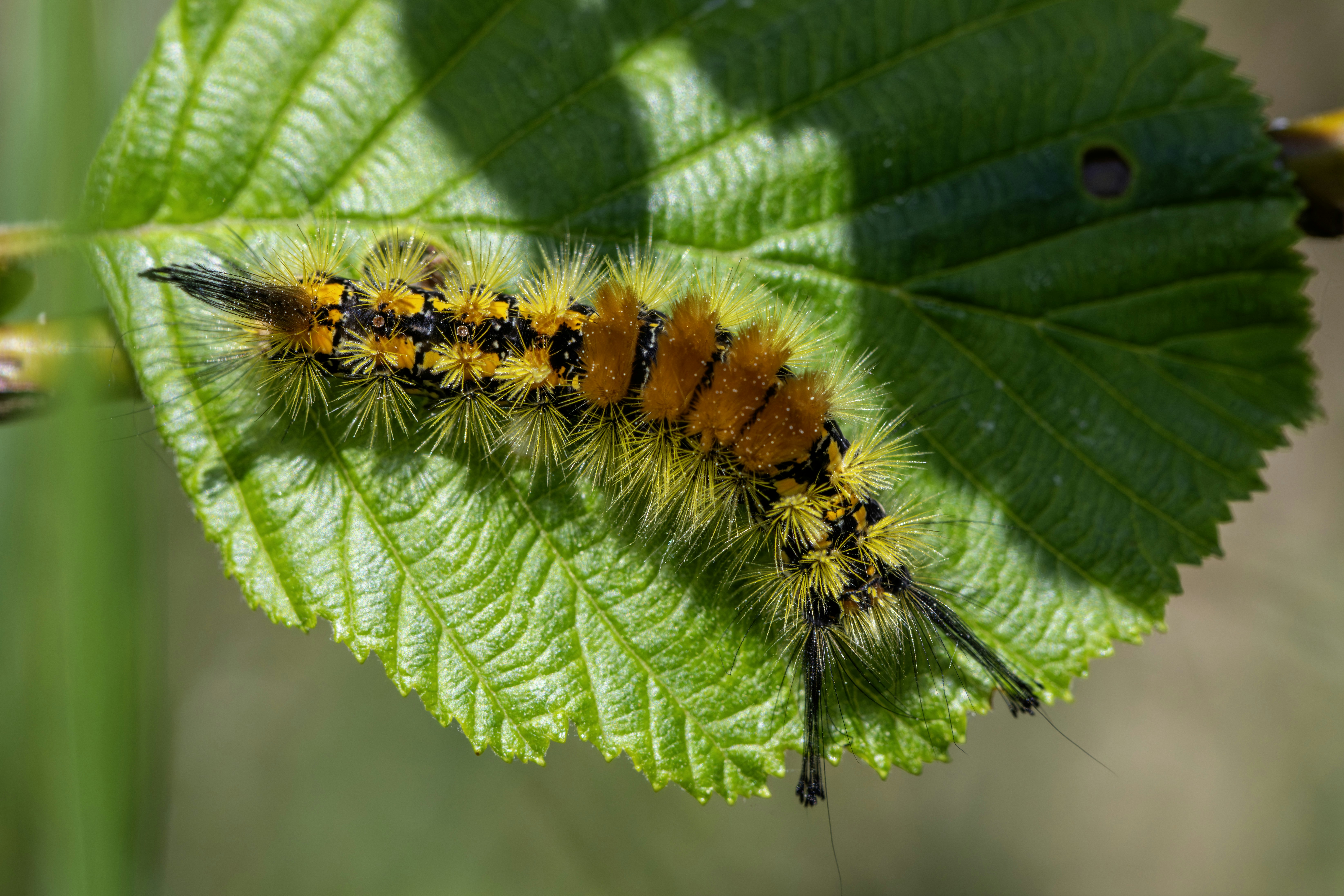 Photo by erik_karits