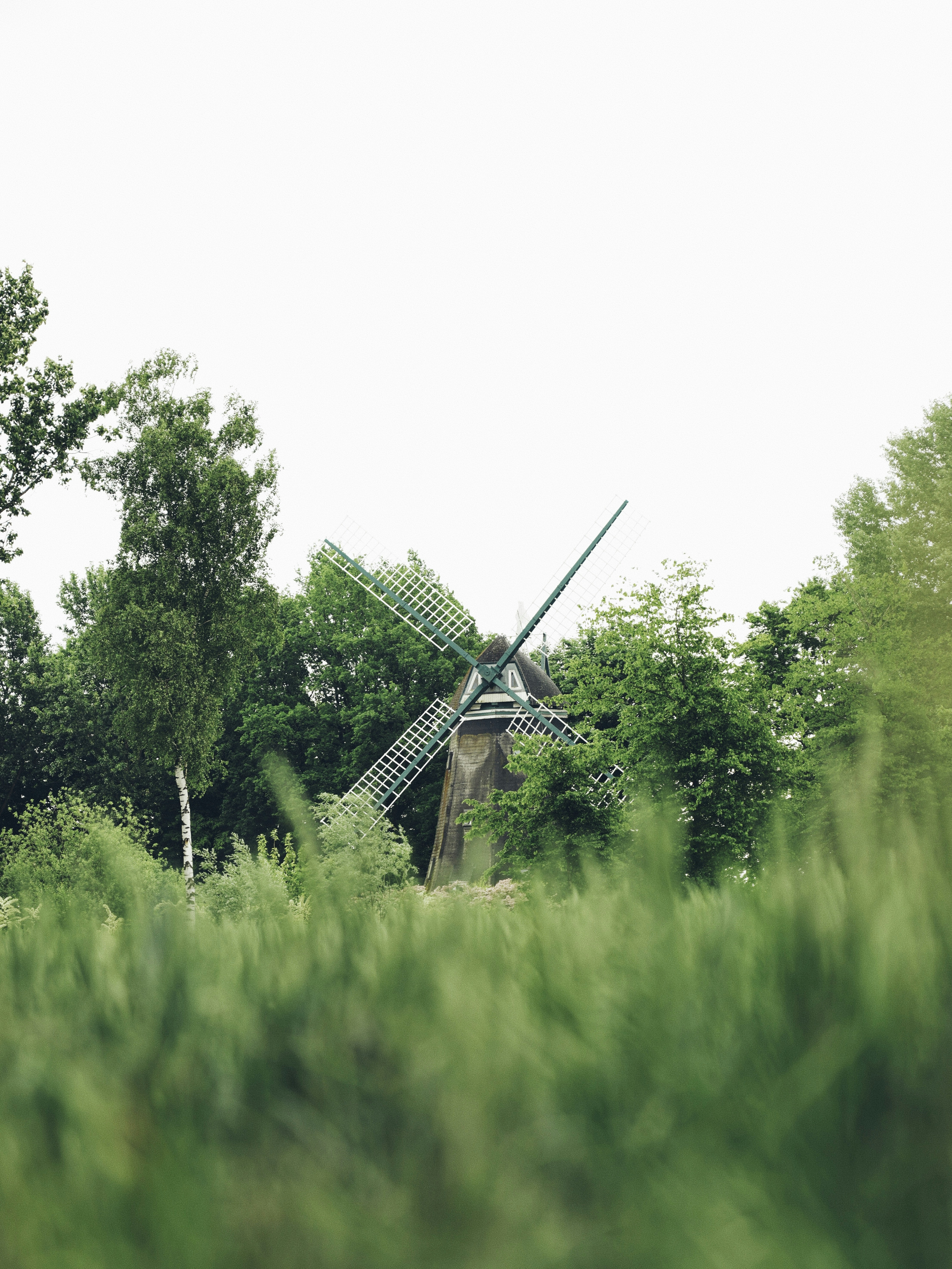 Ein veröffentlichtes Foto