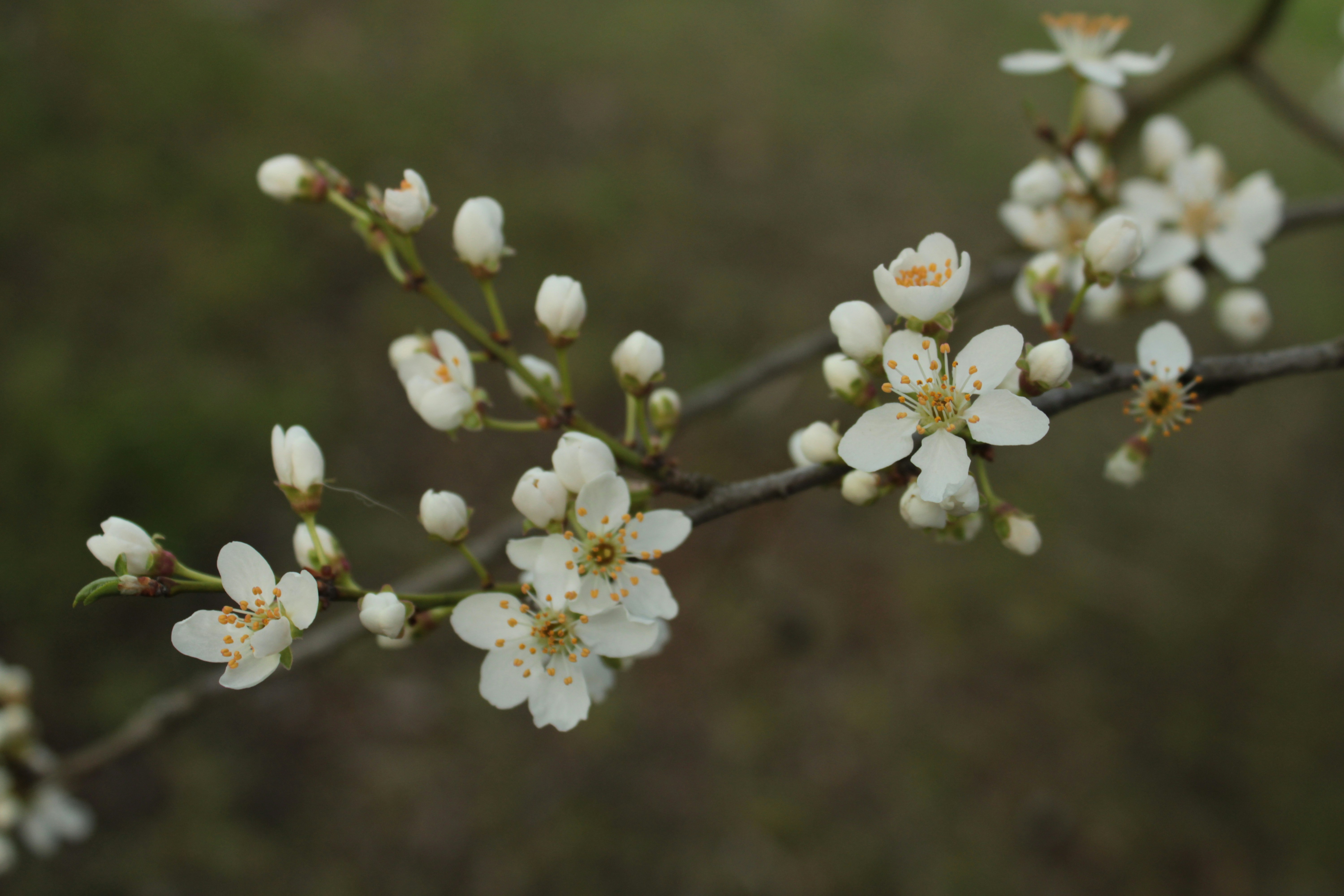 Photo by thorai9akira