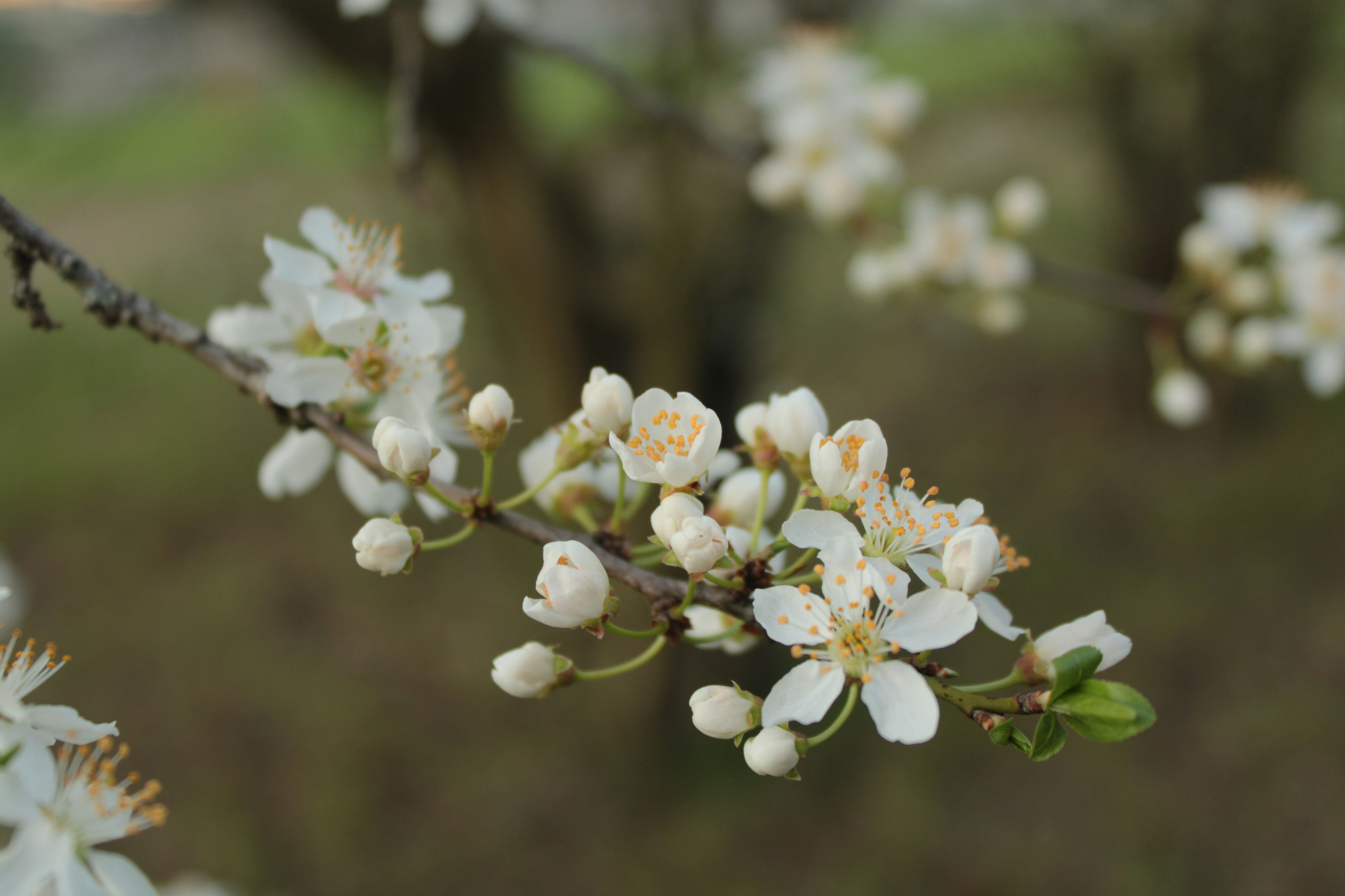 Photo by thorai9akira