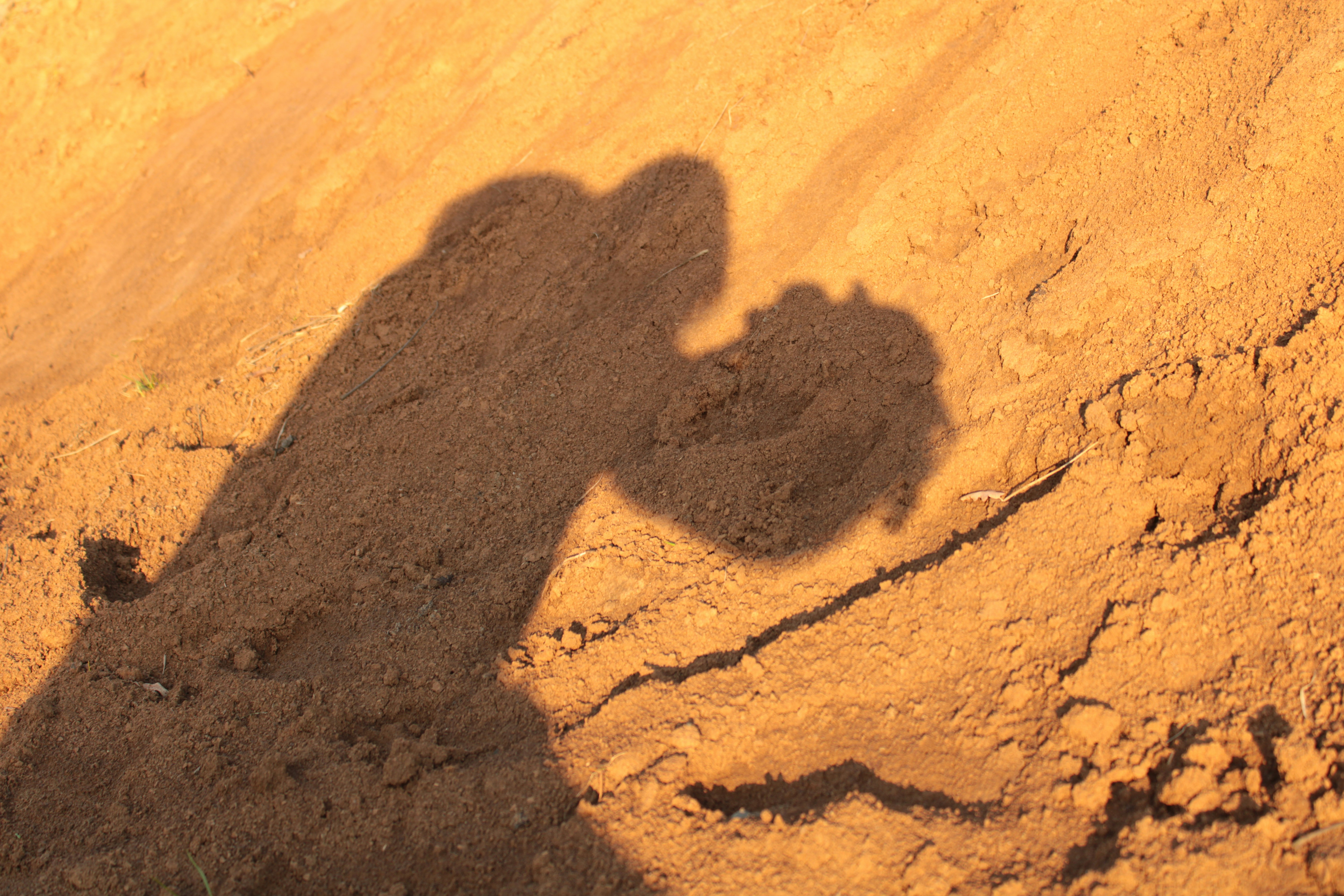 Photo by thorai9akira