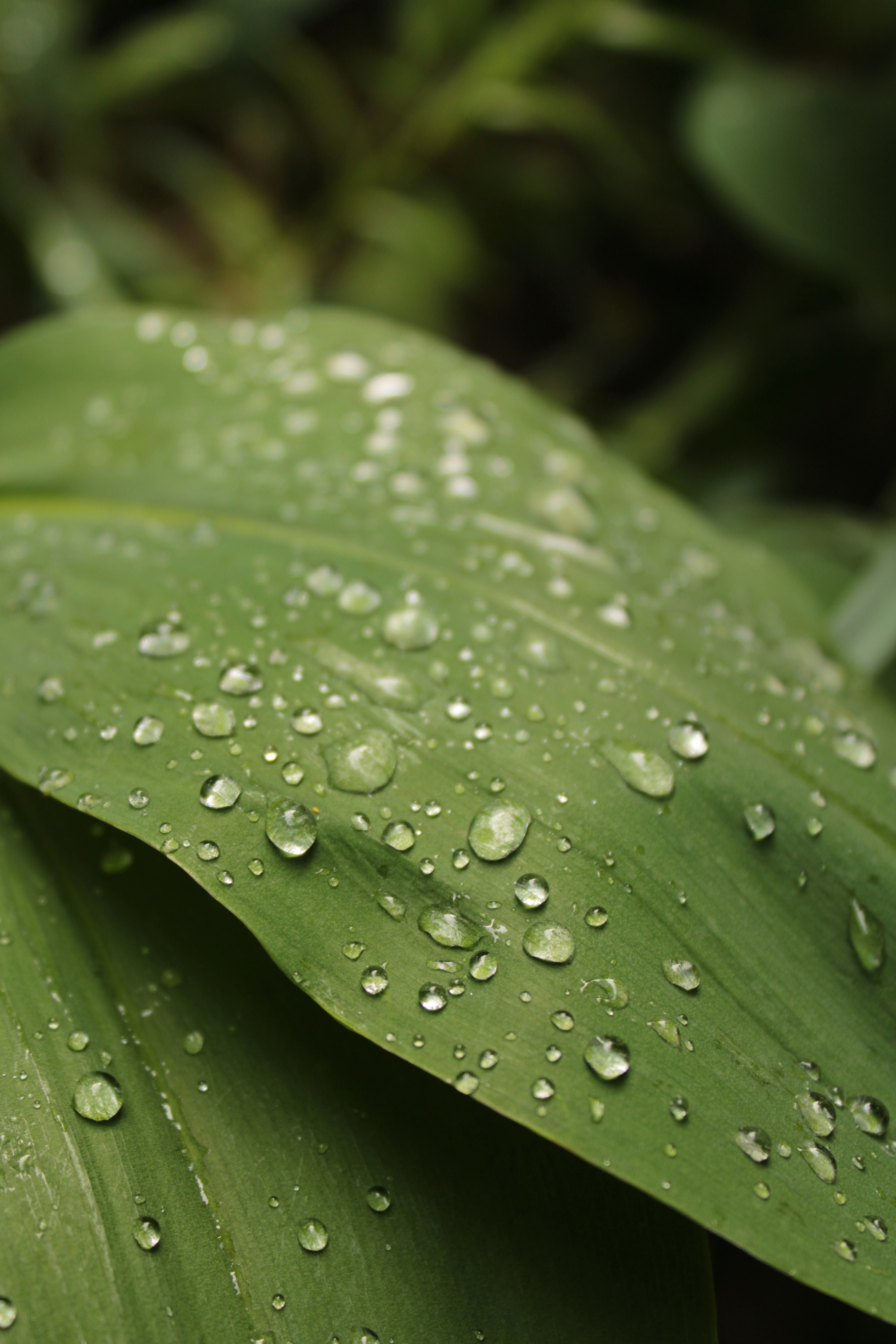 Photo by thorai9akira