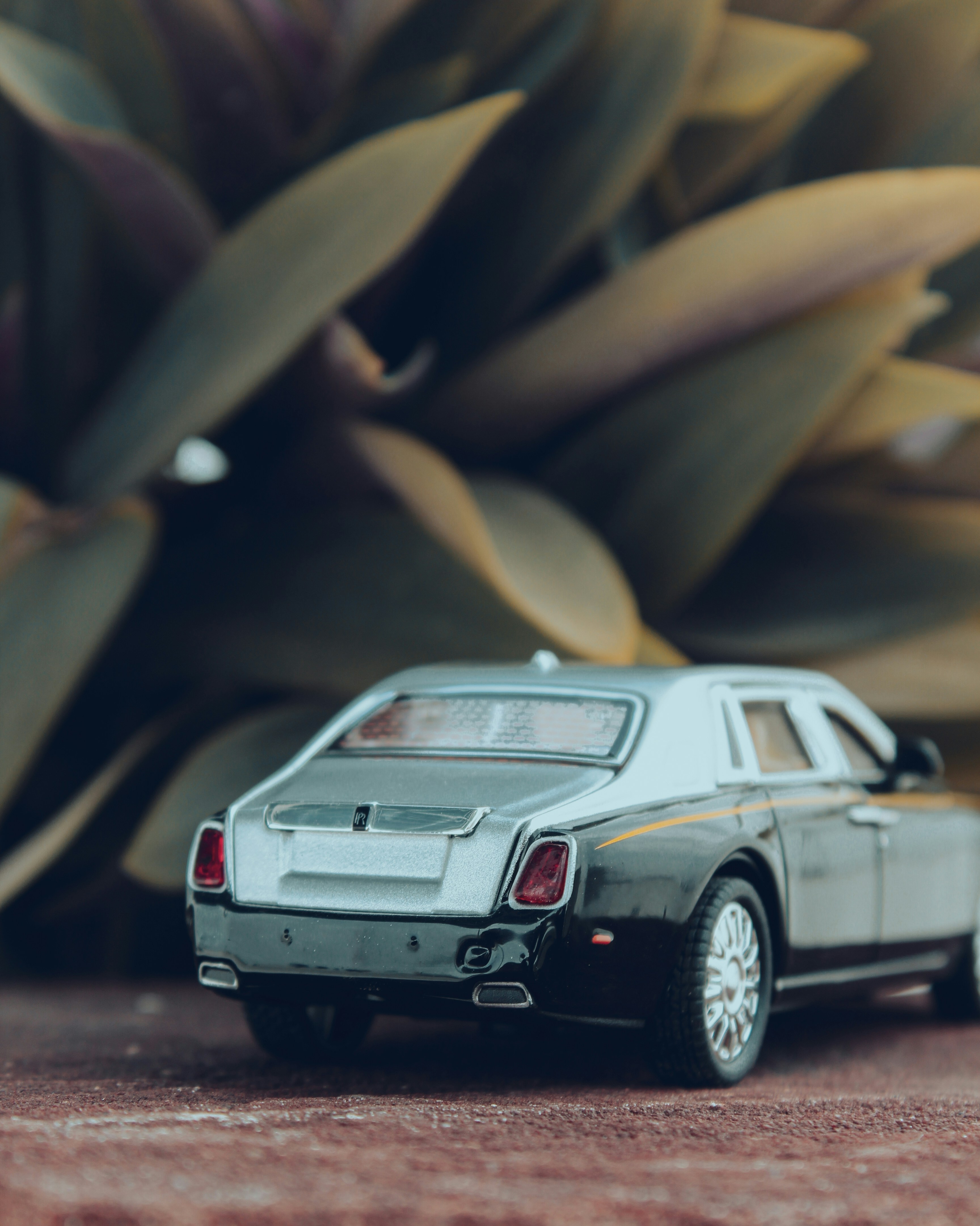 A toy rolls royce sits in front of leafy plants.