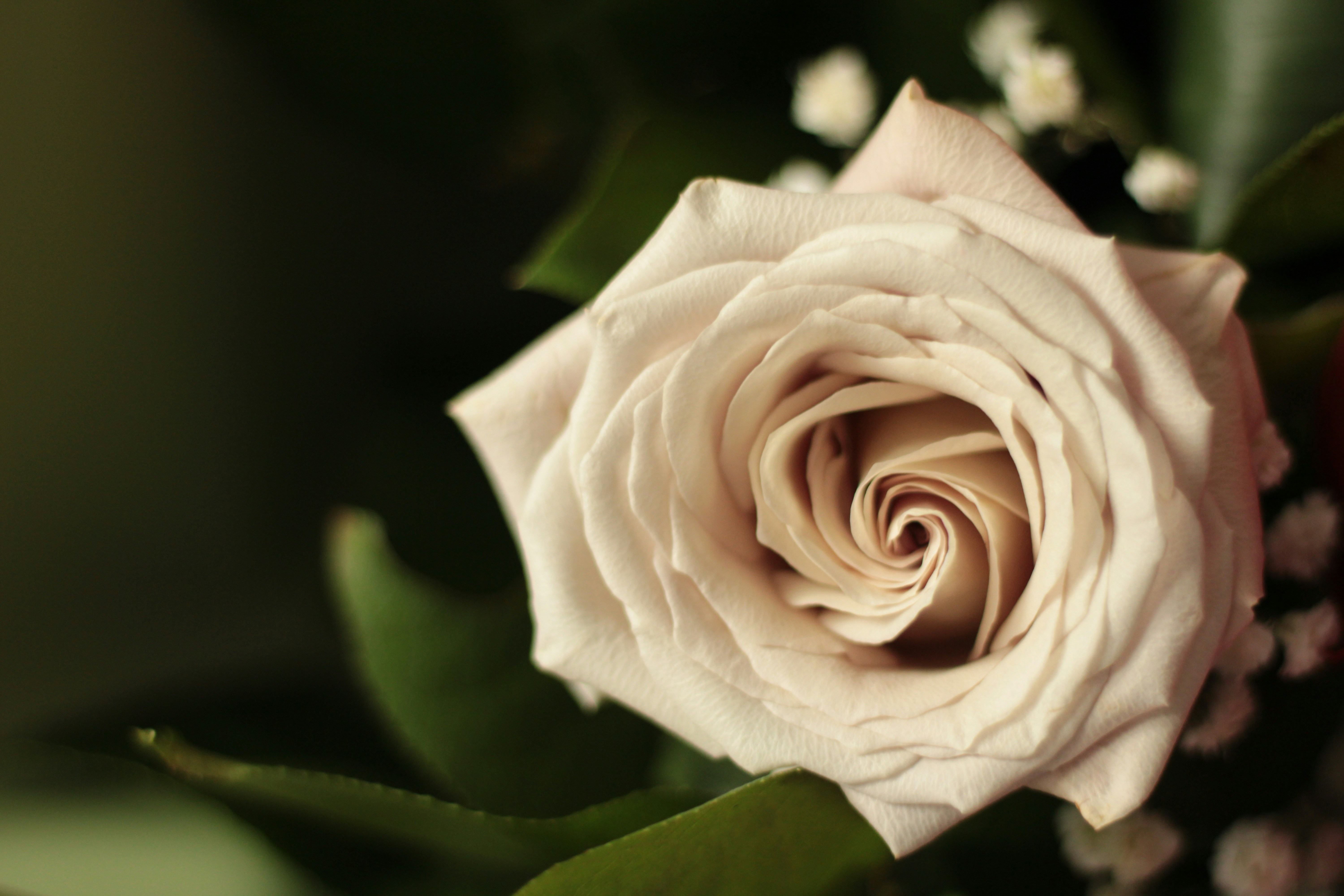 Photo by thorai9akira