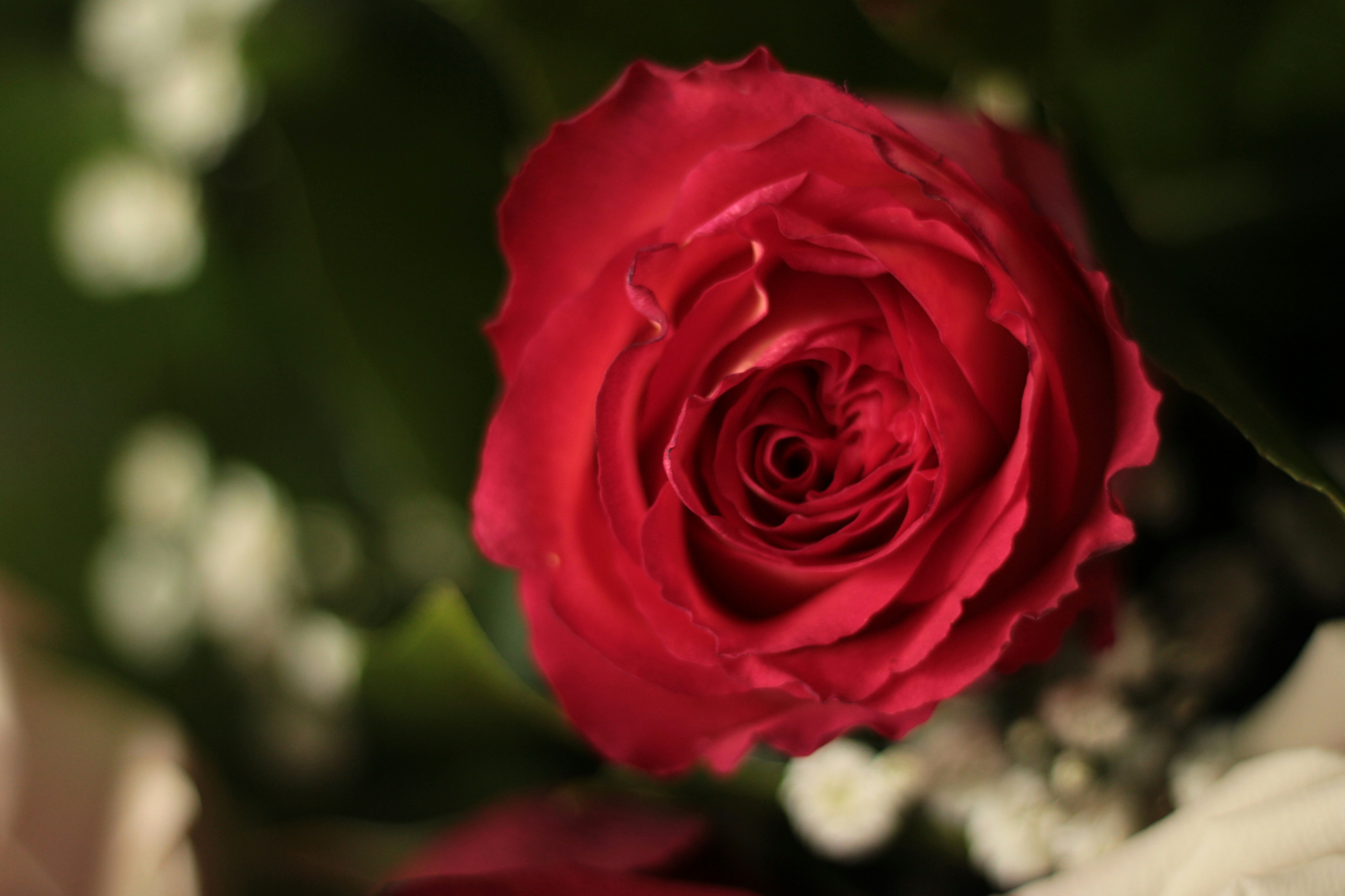 Photo by thorai9akira